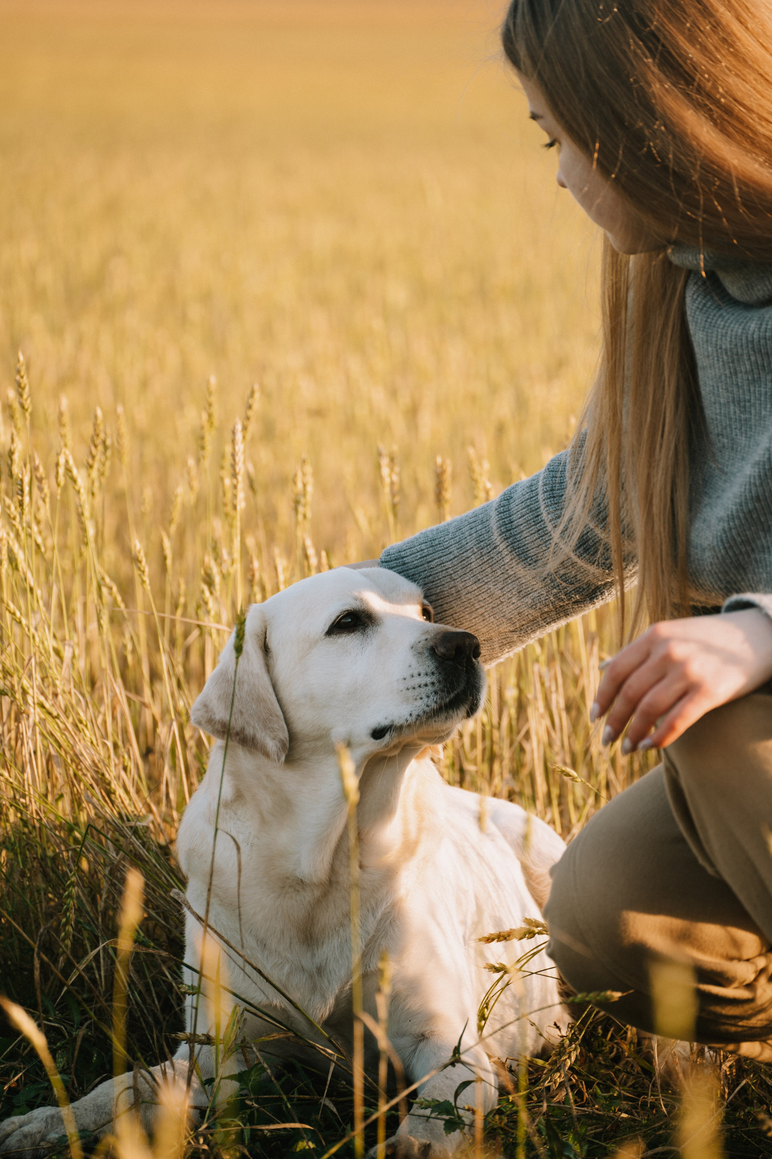Дана и Арчи. Фотограф-анималист Анастасия Большакова