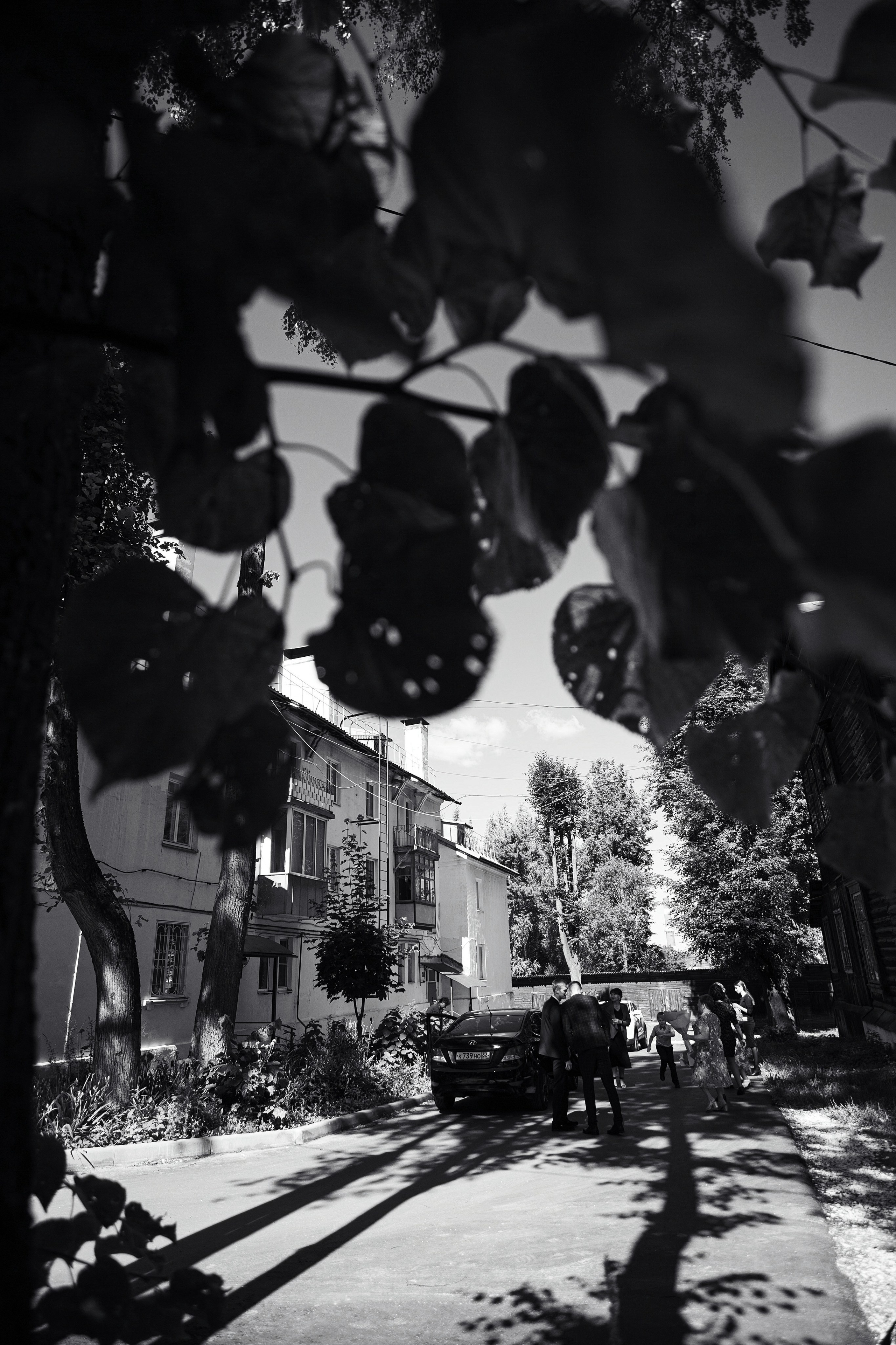 Мария и Артур. Фотограф Светлана Голицына