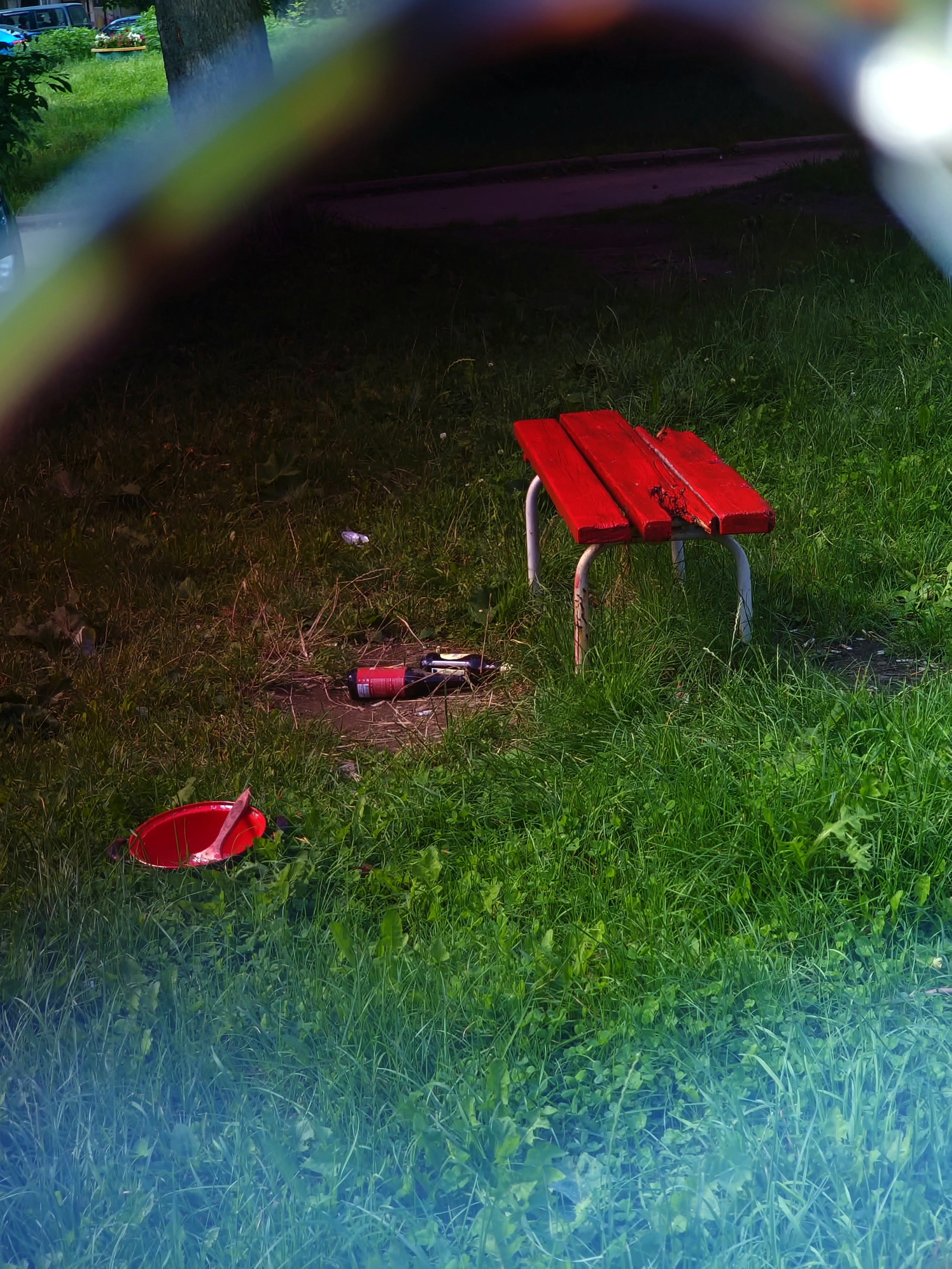 Август 2025. Den Mirov — Фотограф, Музыкант