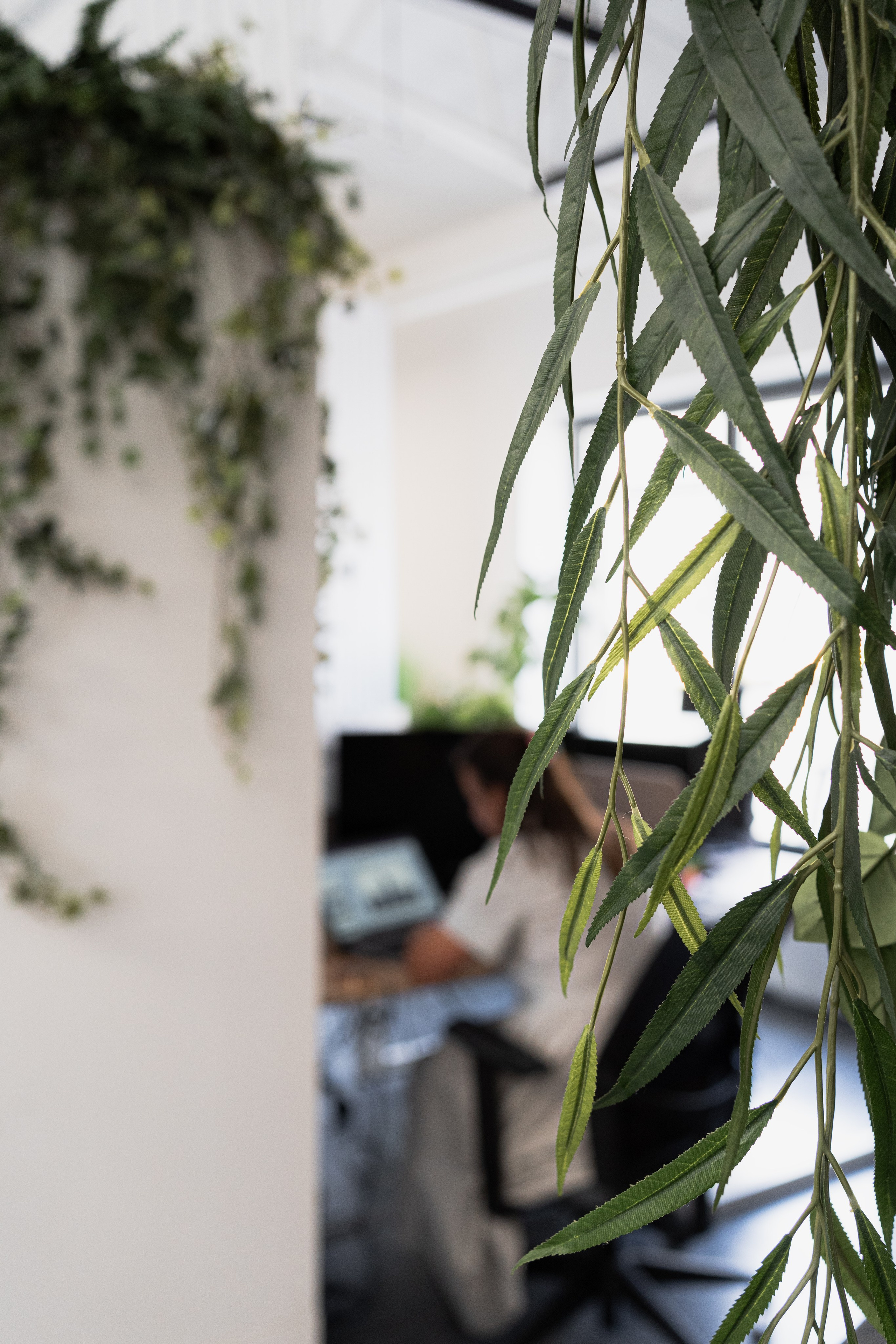 Terra. Елена Пашкевич, фотограф, Москва