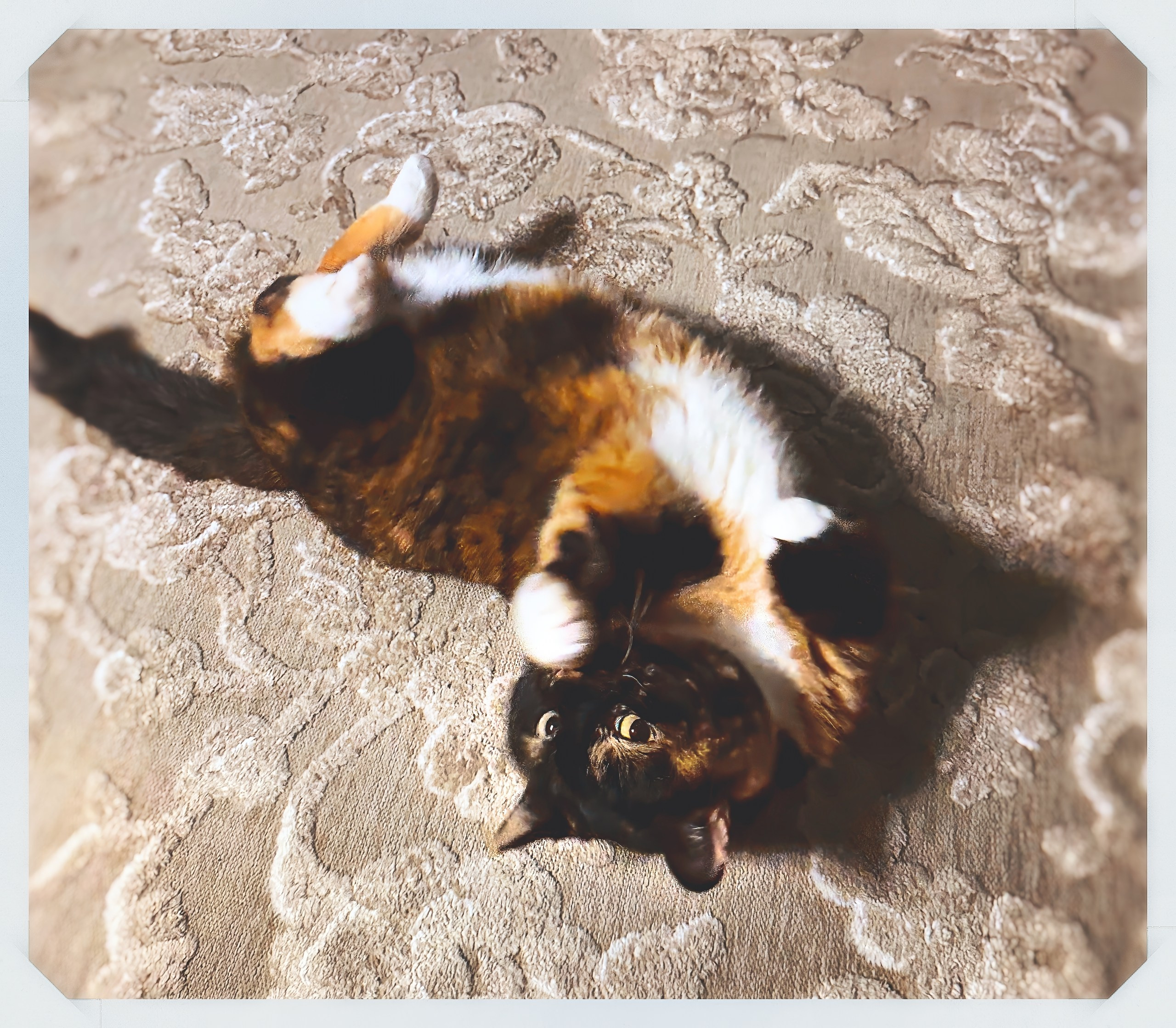 ПРИРОДА. Слепки времени. Фотографии природы и событий. Москва. Сергей Аллагулов