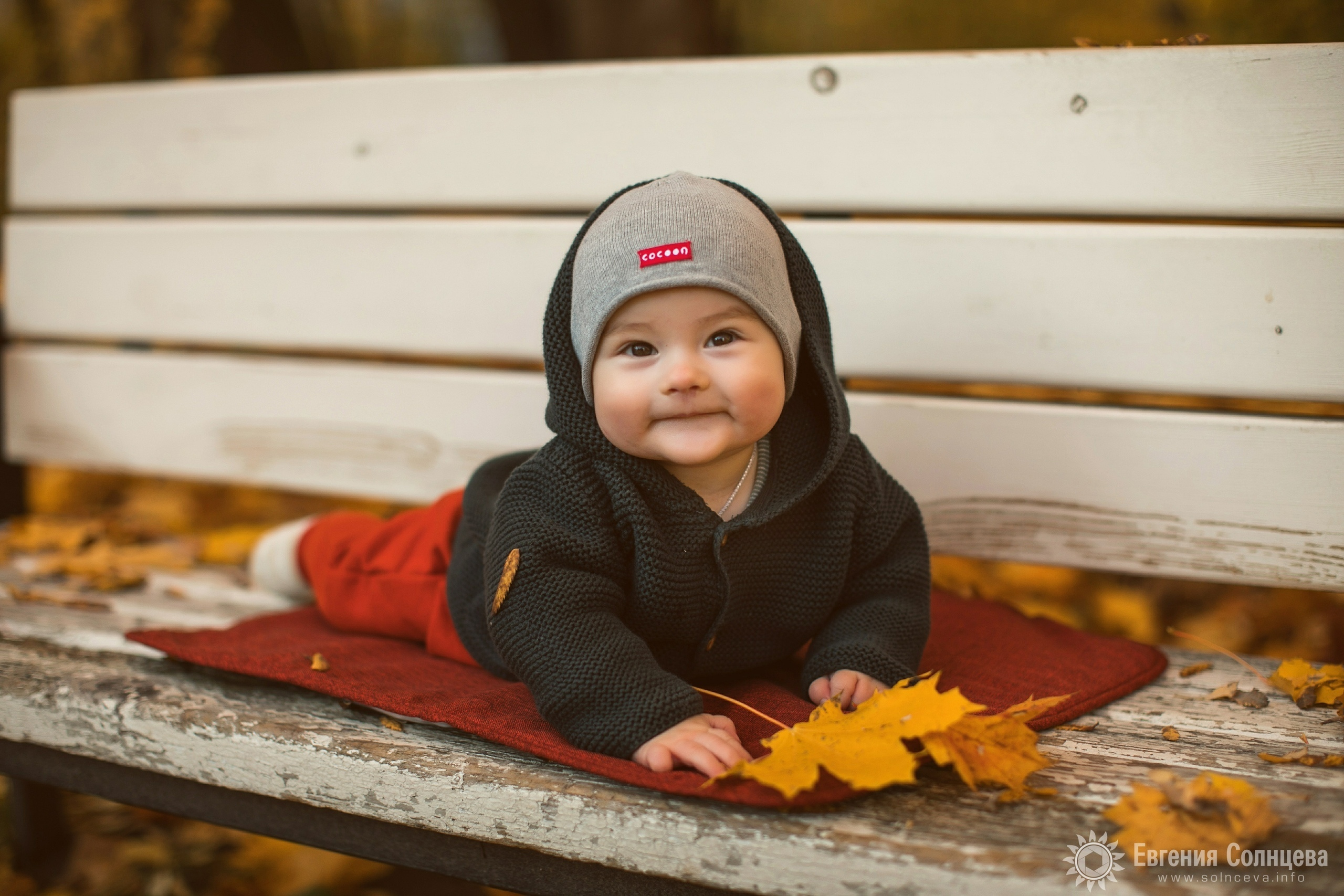 Портретный фотограф в Санкт-Петербурге Евгения Солнцева. Фотограф в Санкт-Петербурге, — Евгения Солнцева