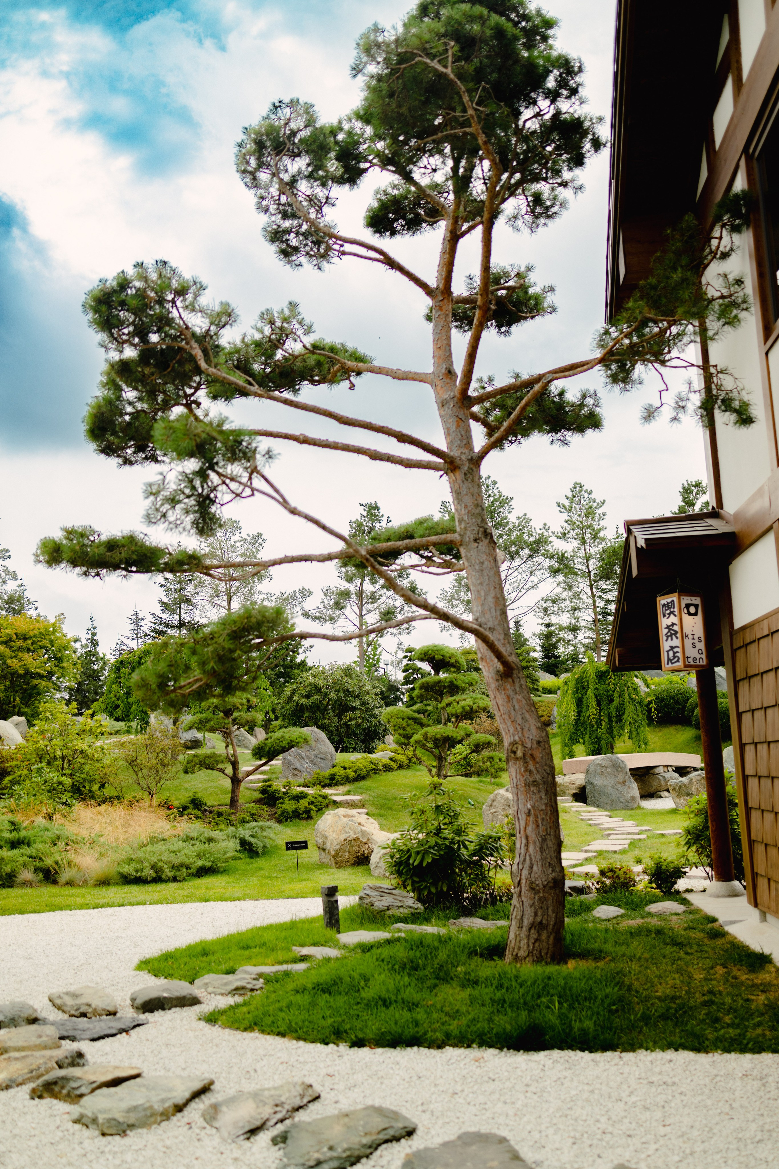 Японский сад в Краснодаре. Профессиональный фотограф и видеооператор