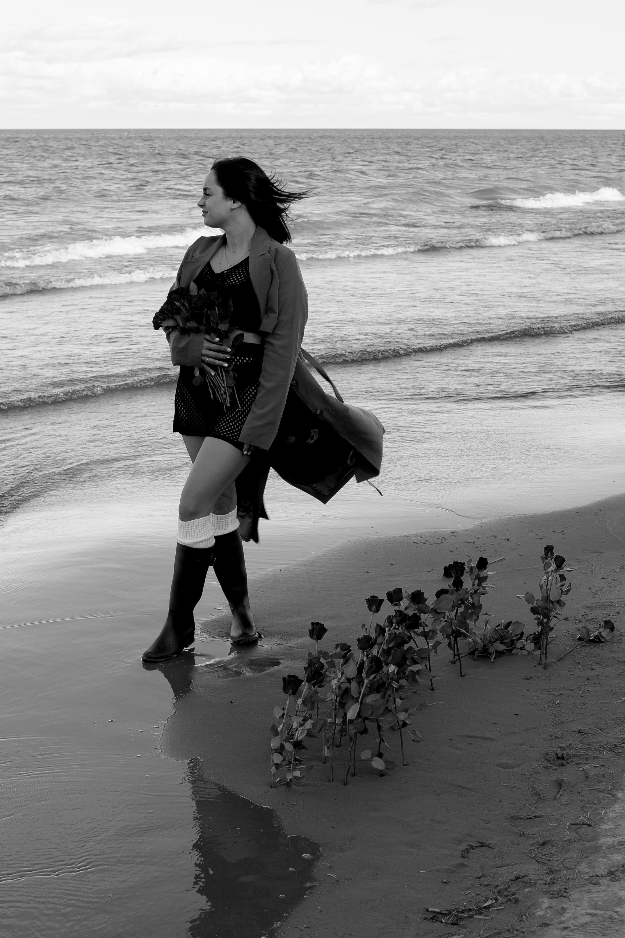 Розы. Профессиональный фотограф, Санкт-Петербург — Виктория Богомолова