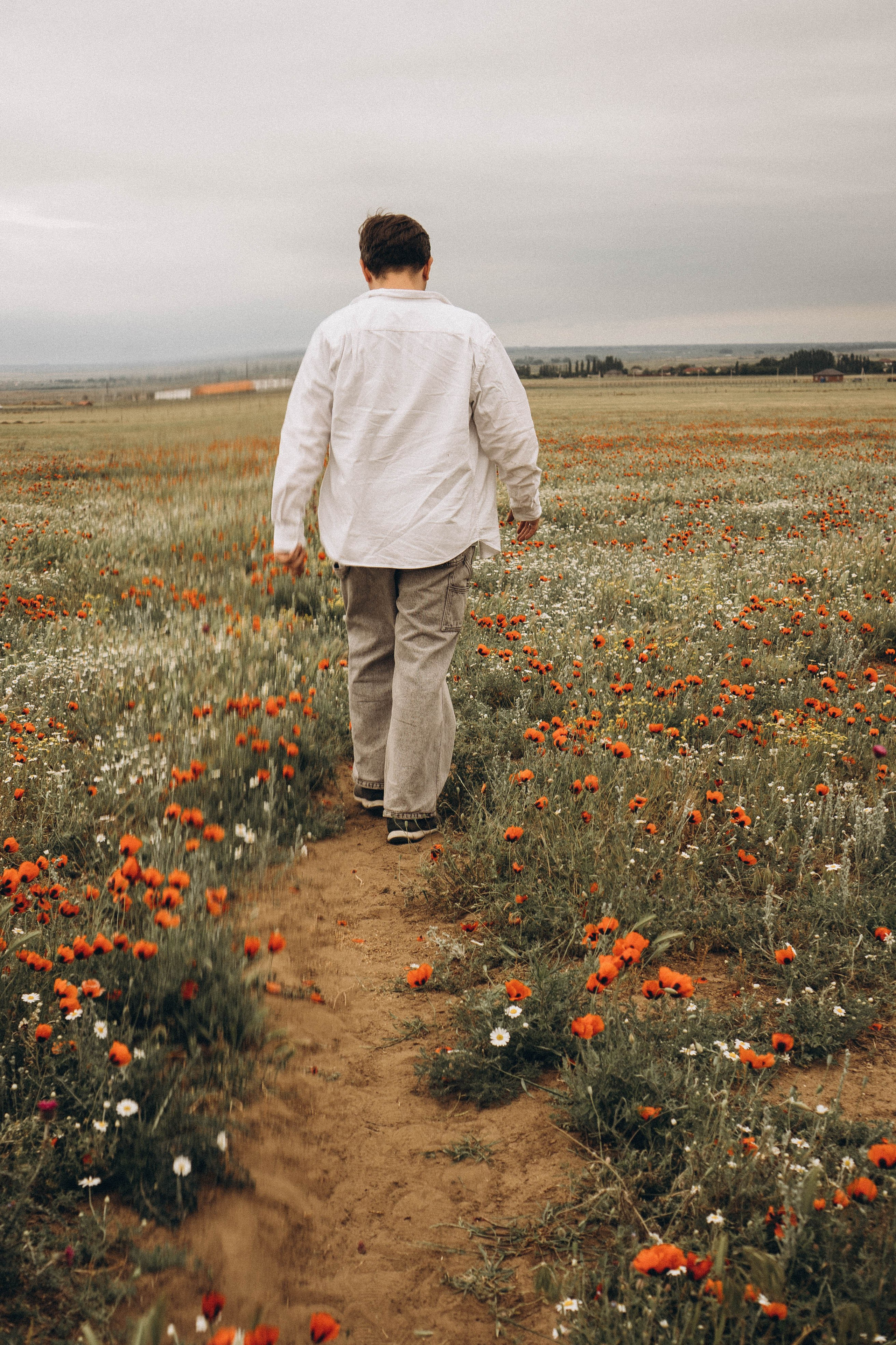 Маки. Профессиональный фотограф, Санкт-Петербург — Виктория Богомолова
