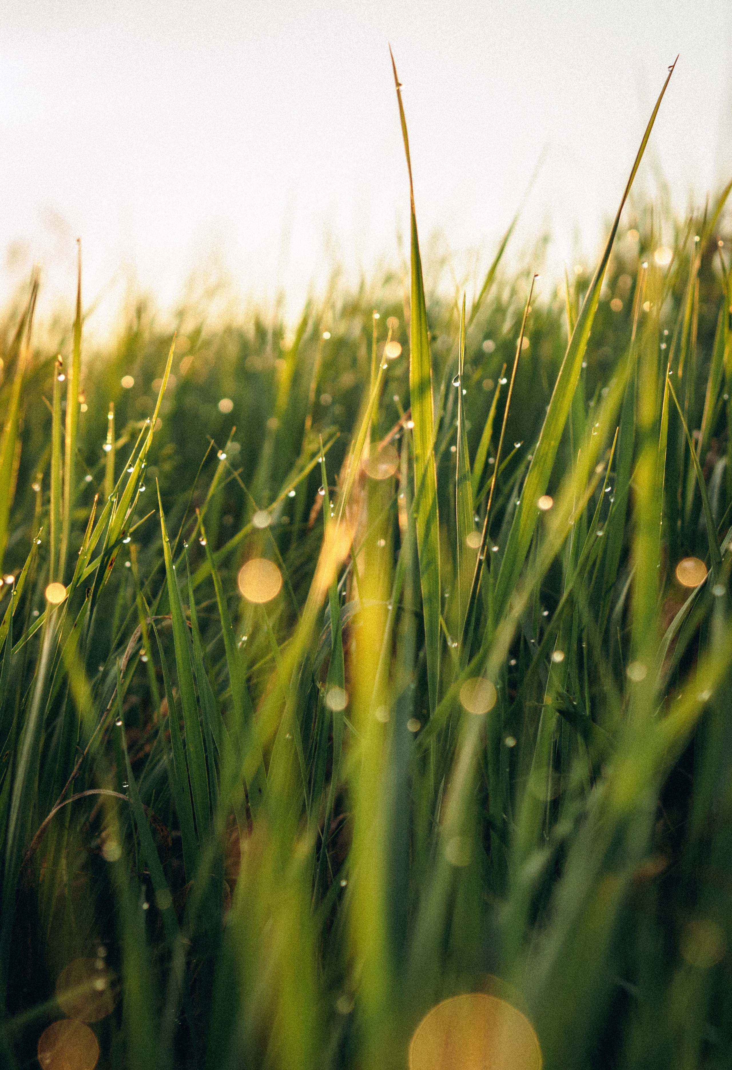 Lilit. Natalya Bondareva Photographу