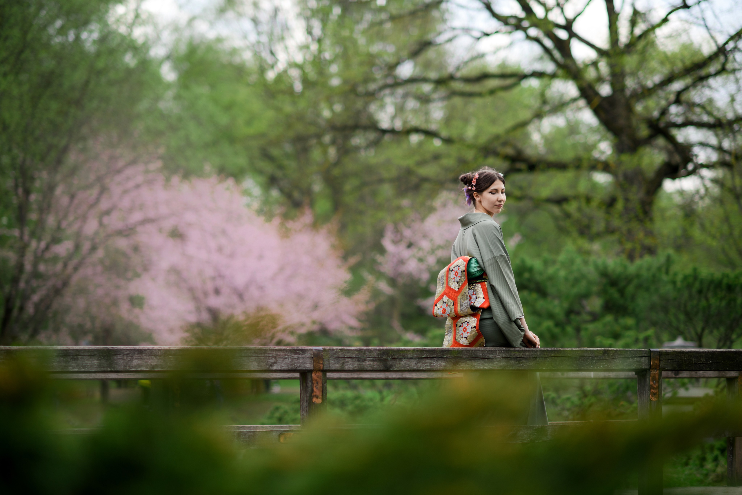 Любование цветением сакуры в Японском саду. Главная