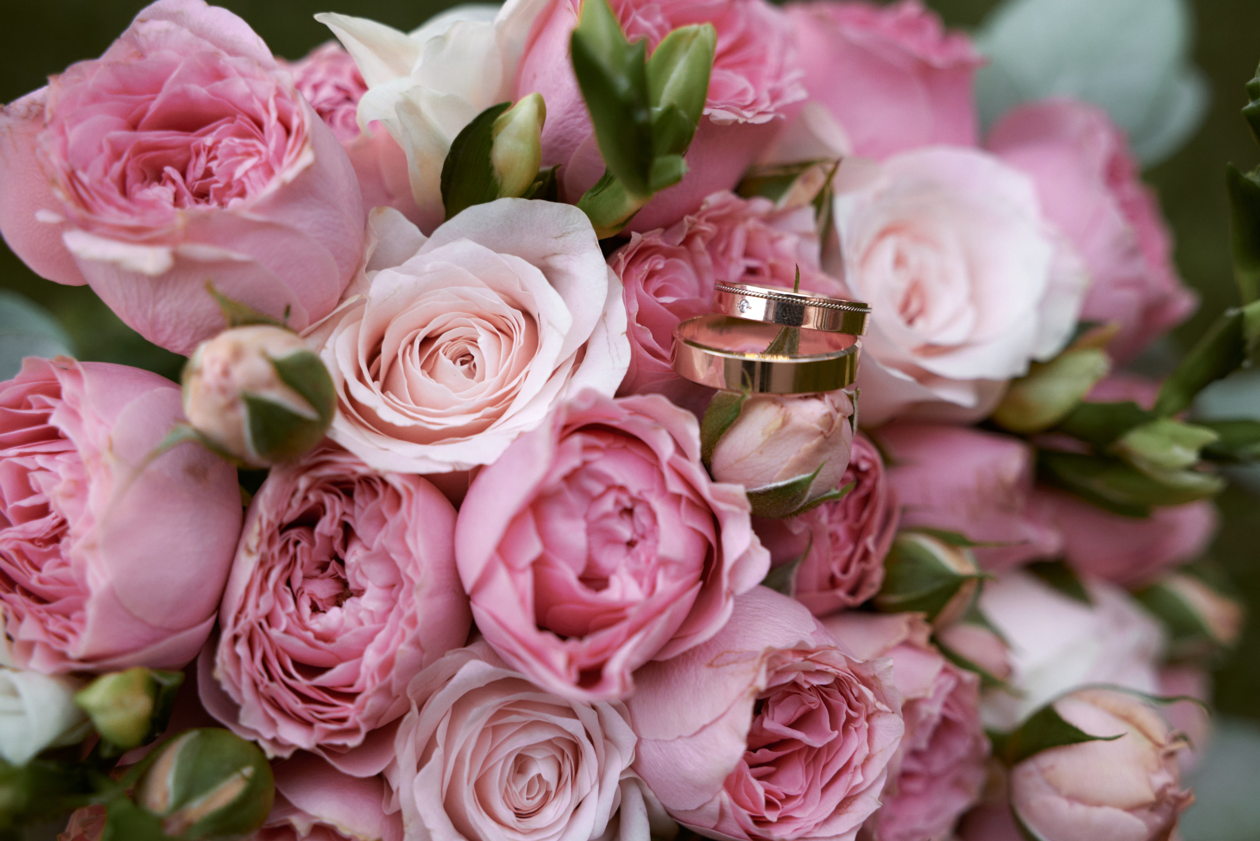 Алексей и Анна. Фотограф Егорьевск Коломна Воскресенск