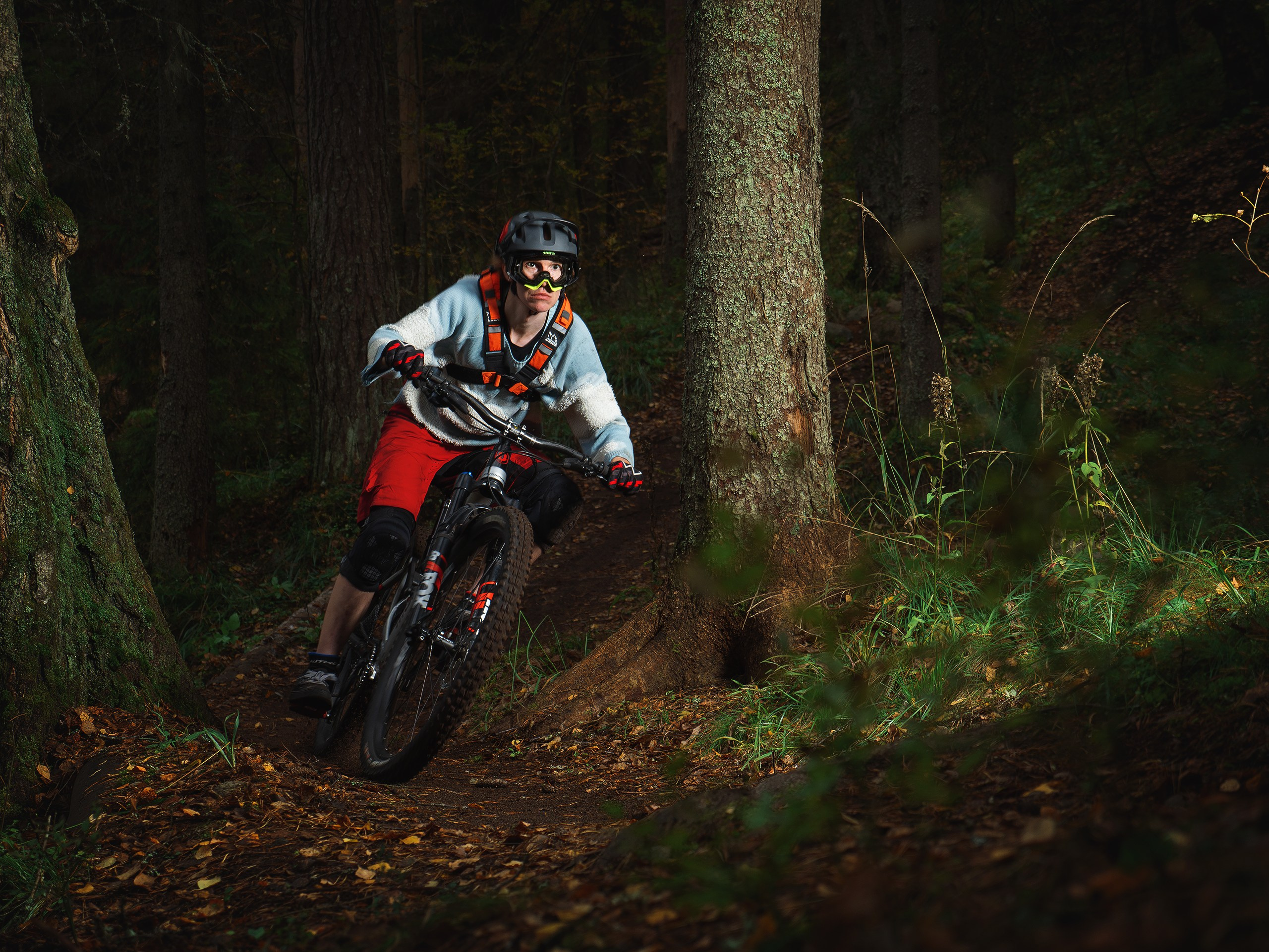 Владимир. Фотограф анималист Никита Натальный