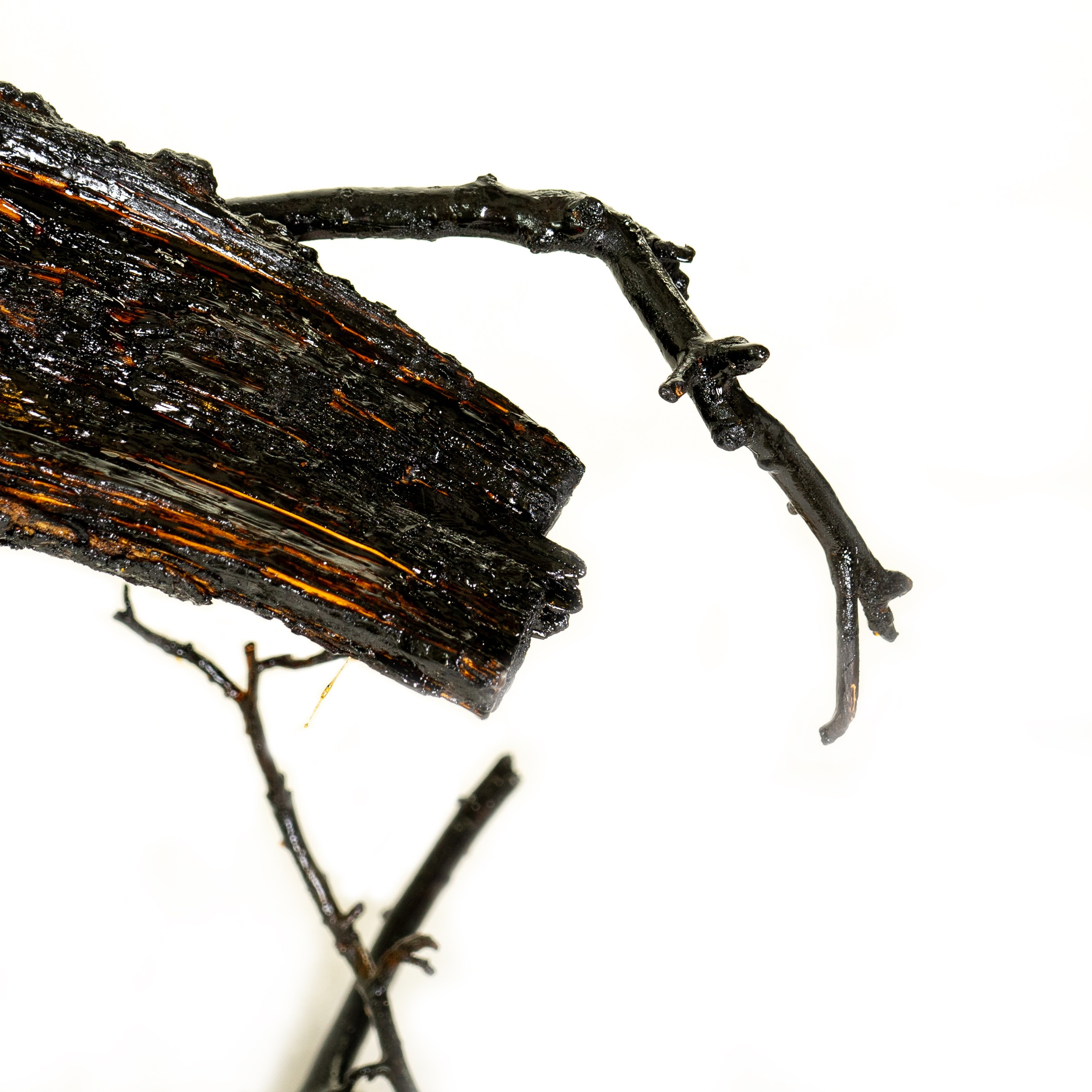 Dead Resilience. Whoii art