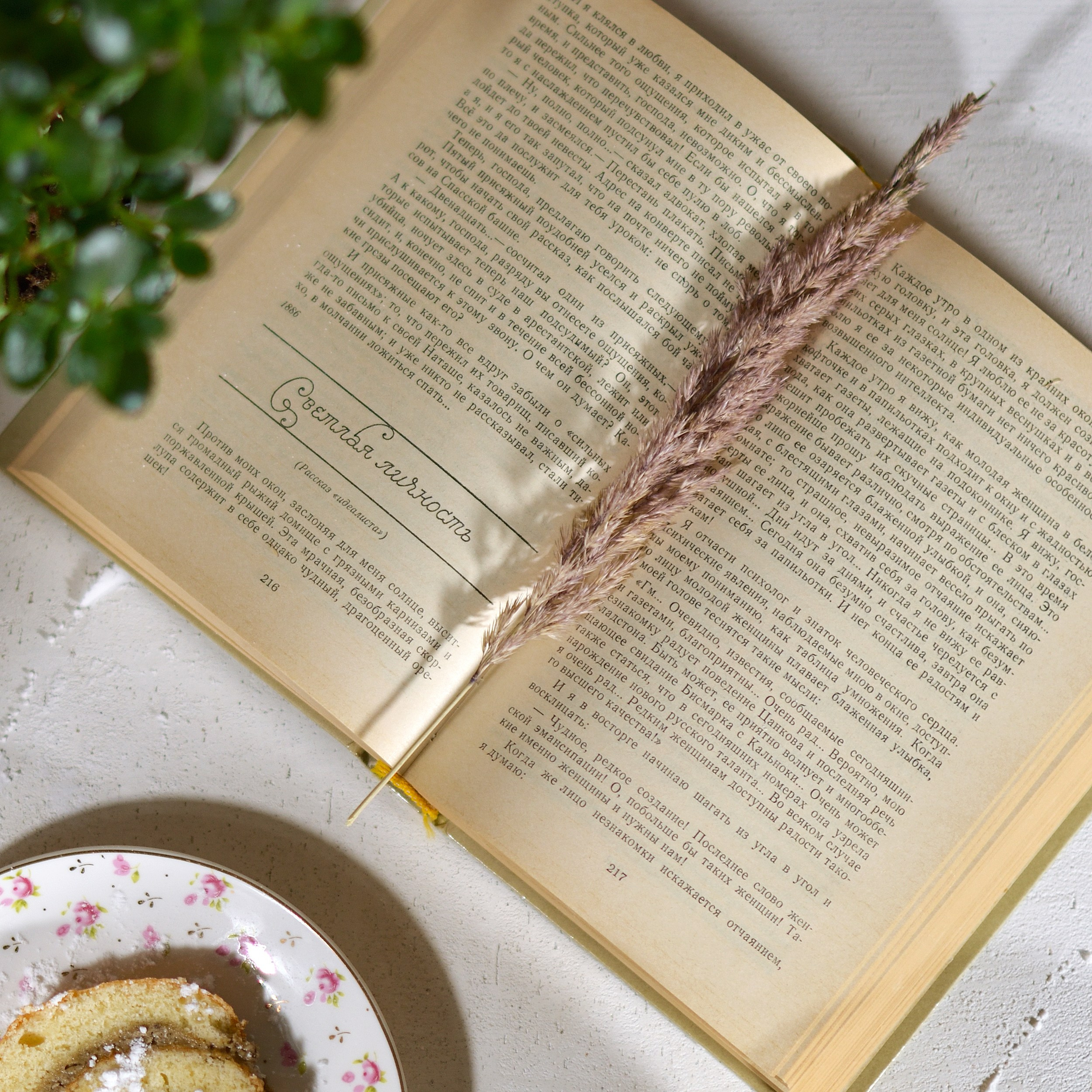 Предметная фотосъемка. Выпускные альбомы в Москве. Фотограф Анна Вакор