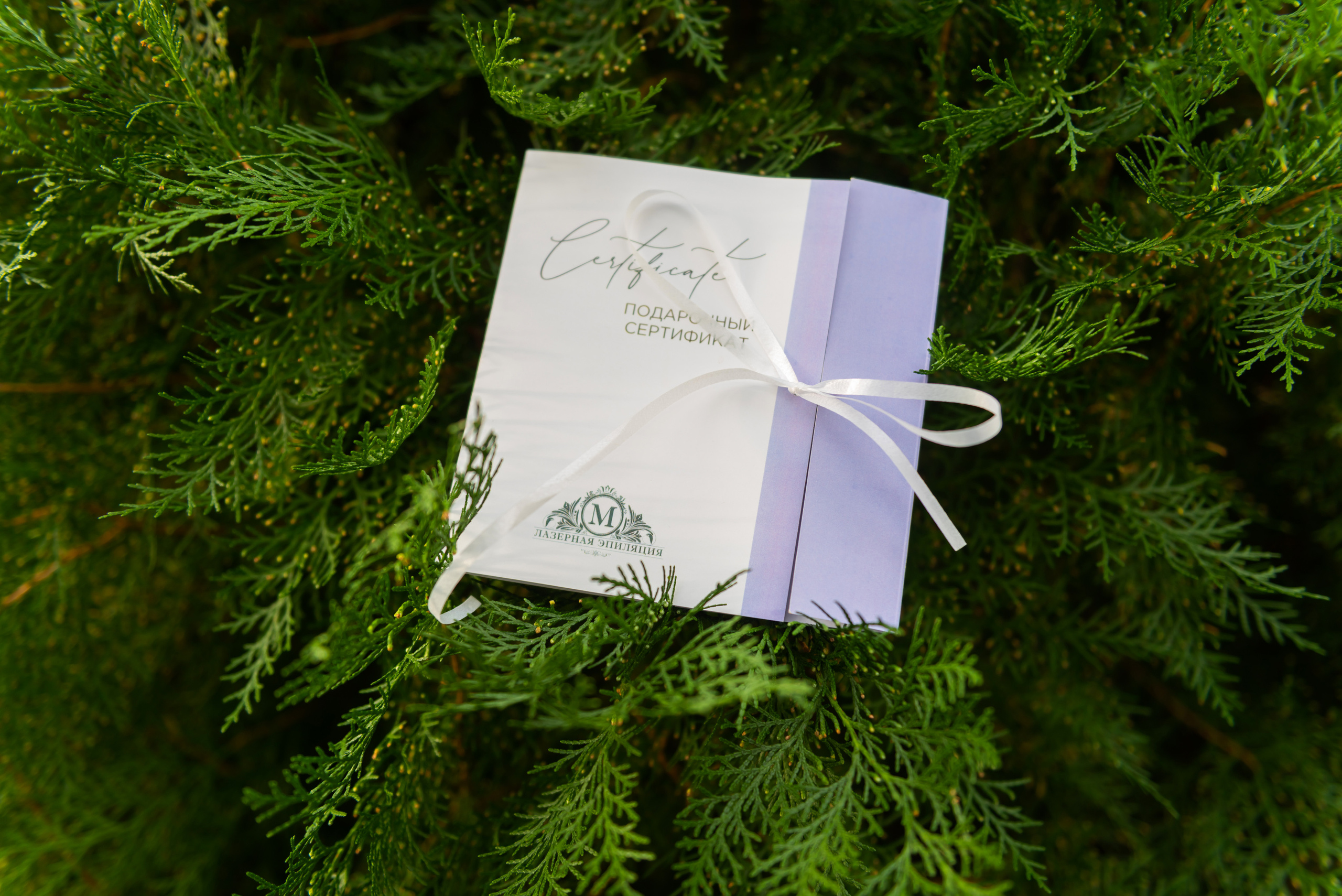 Галерея фото. Лазерная эпиляция в г. Кемерово, г. Новокузнецке и г. Киселевске