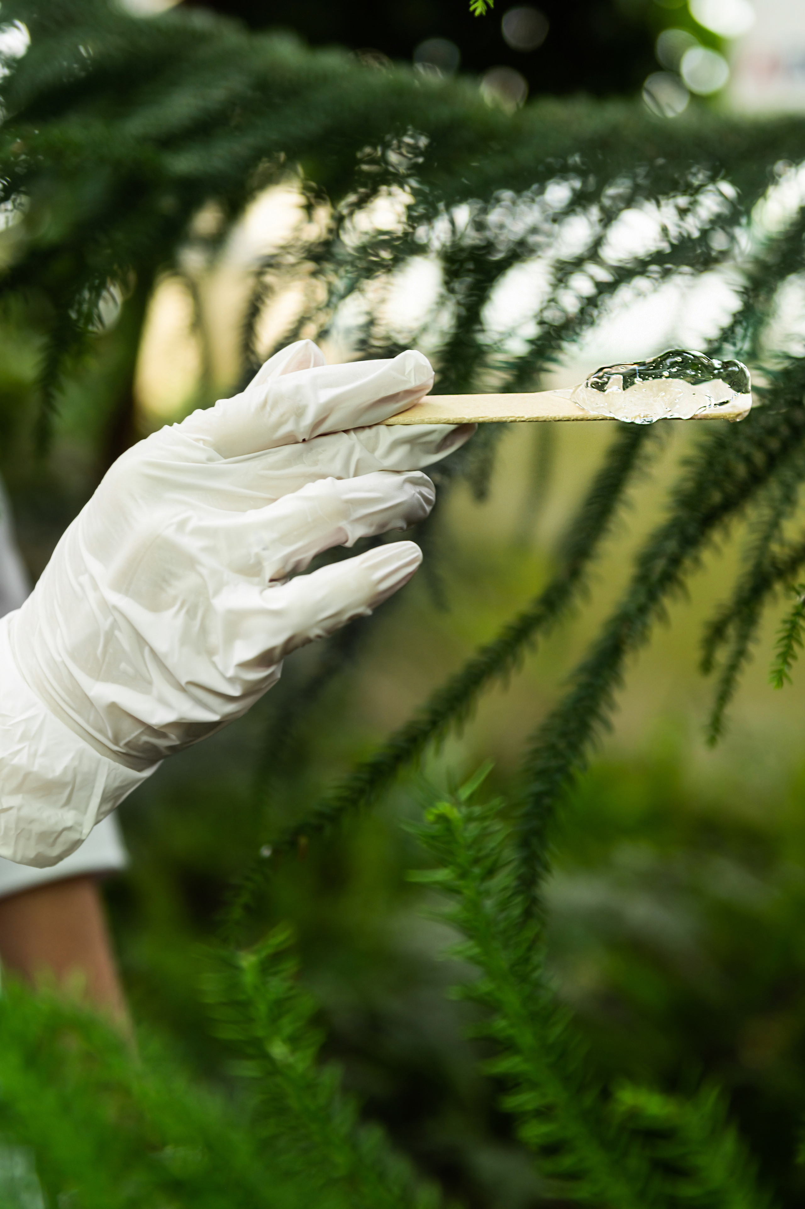 Галерея фото. Лазерная эпиляция в г. Кемерово, г. Новокузнецке и г. Киселевске
