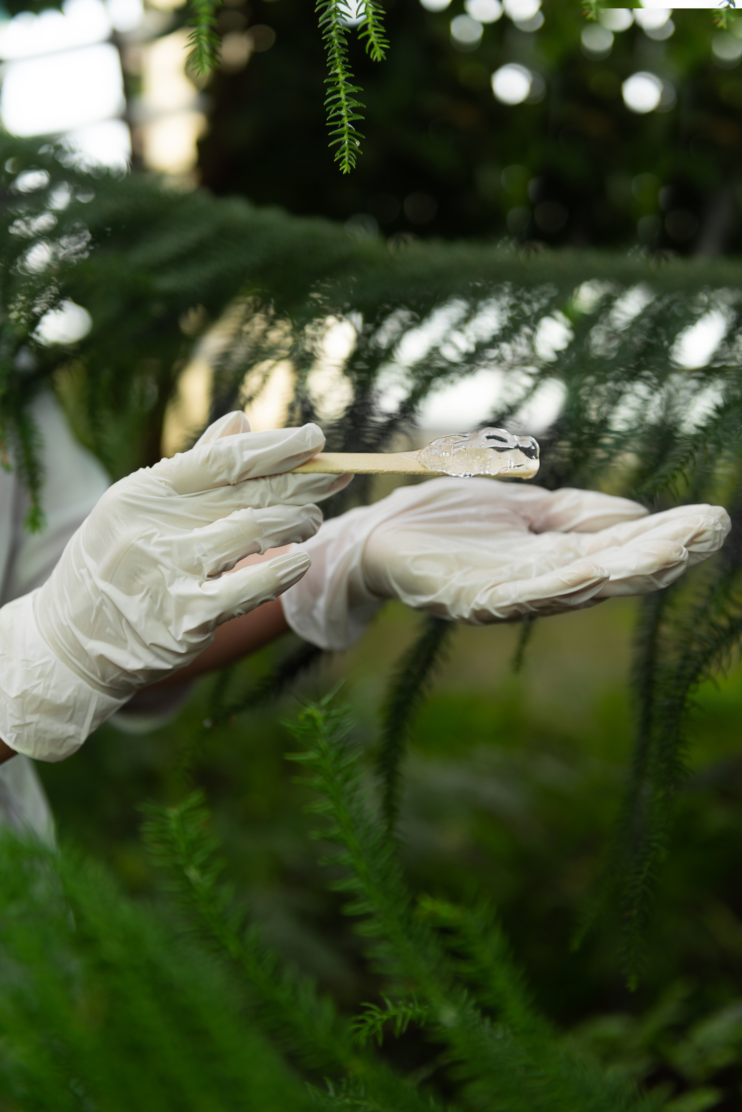 Галерея фото. Лазерная эпиляция в г. Кемерово, г. Новокузнецке и г. Киселевске