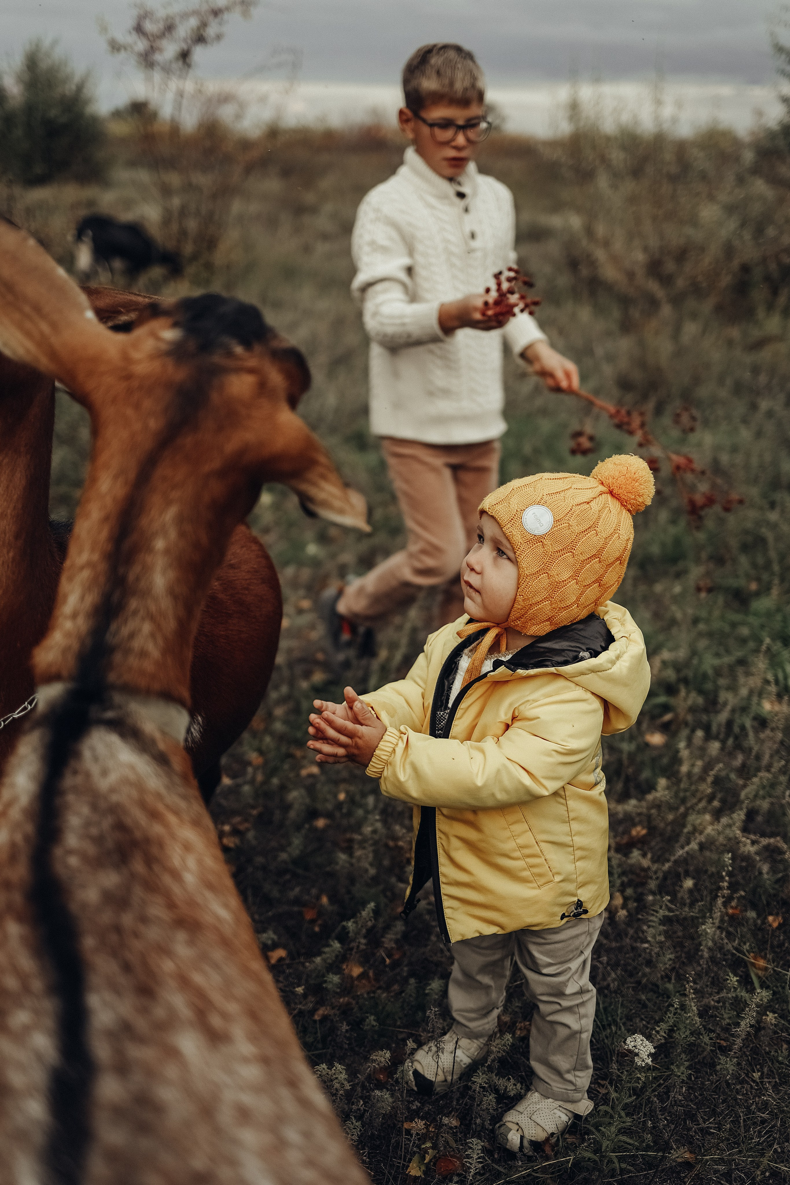 Семейная прогулочная съёмка. Фотограф в Астане Элина Багинская