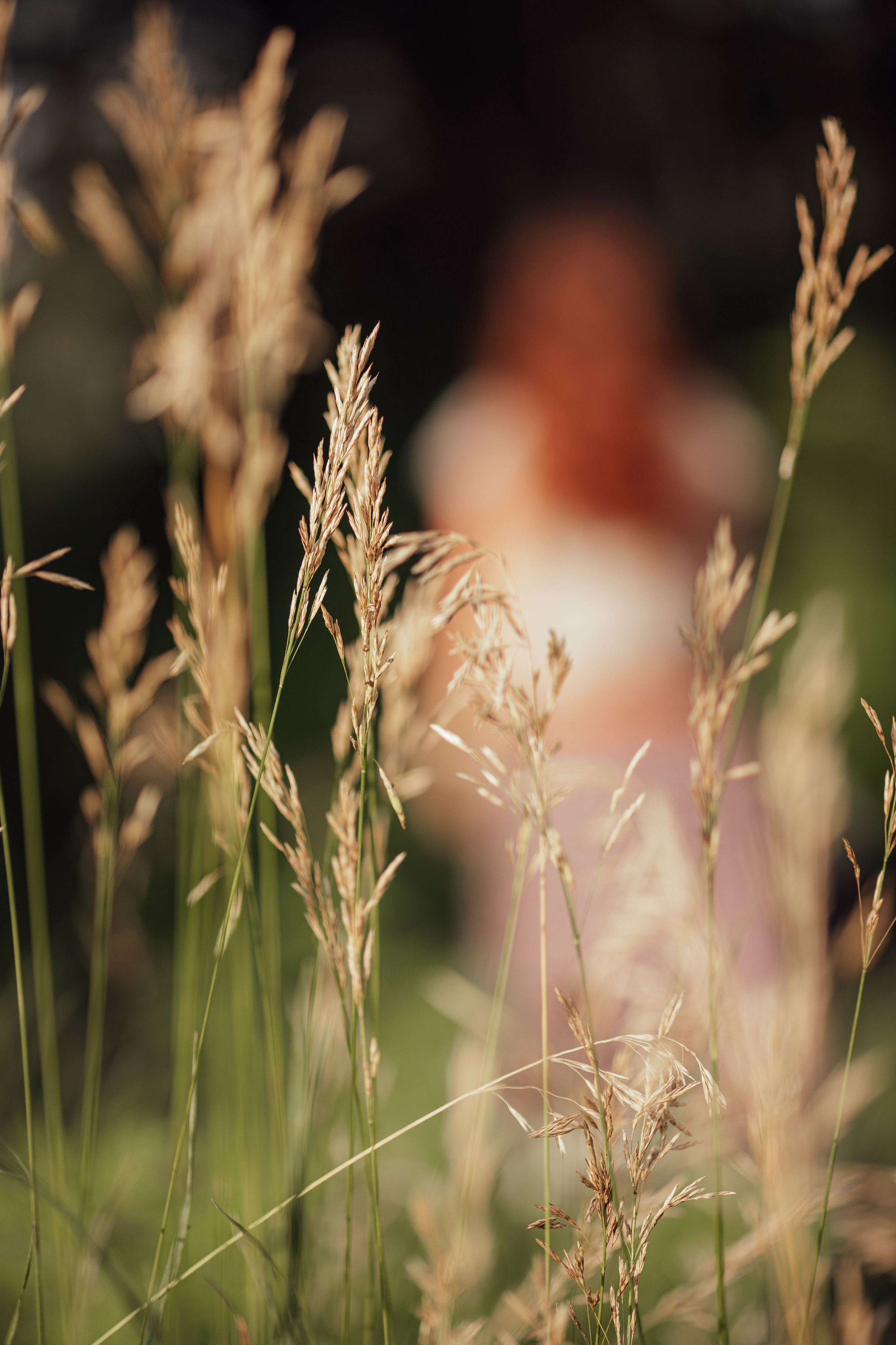 Фотосессия для Анны в лесу. Семейный и свадебный фотограф в Донецке Елена Гордеева