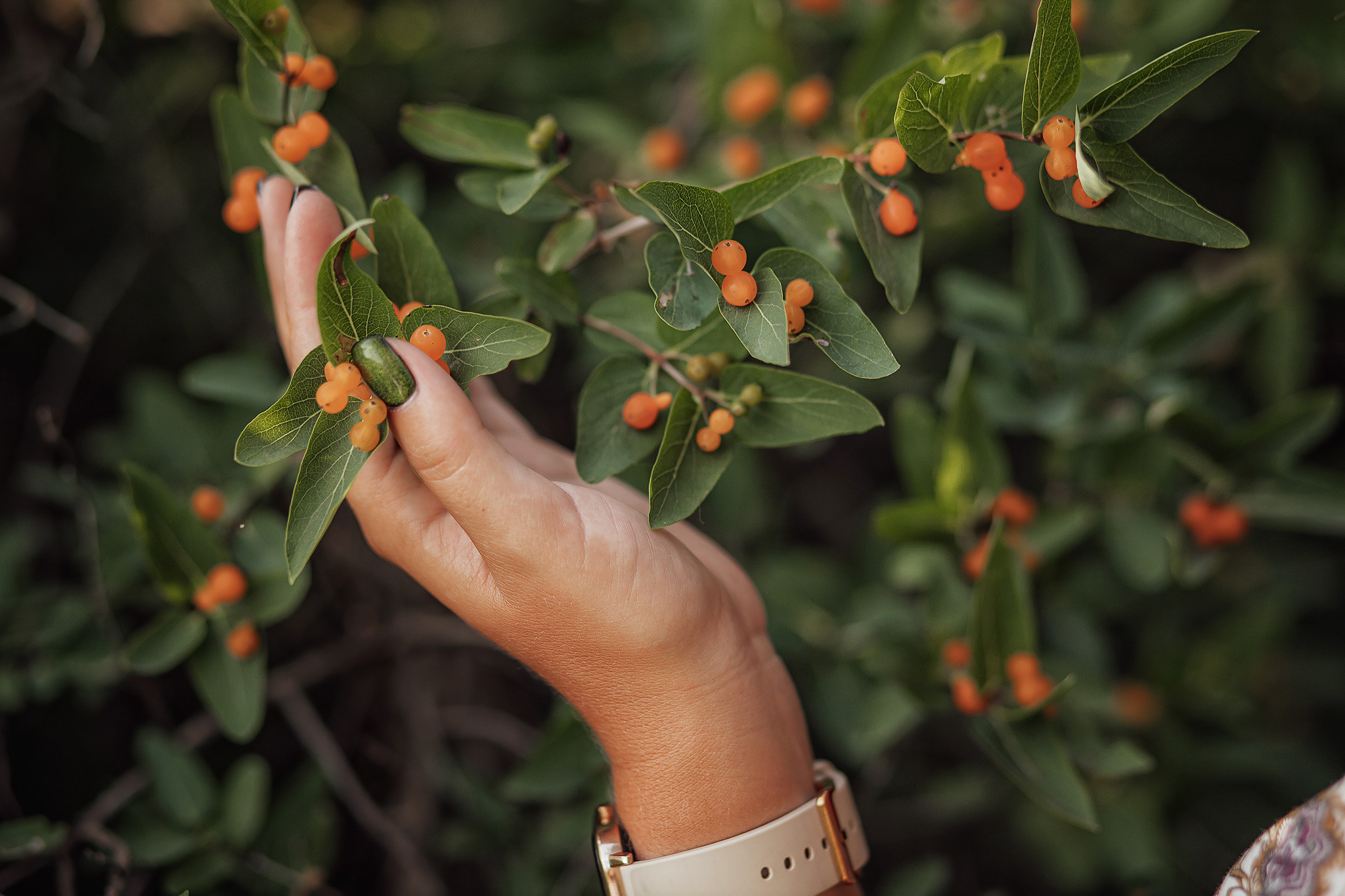 Фотосессия для Анны в лесу. Семейный и свадебный фотограф в Донецке Елена Гордеева