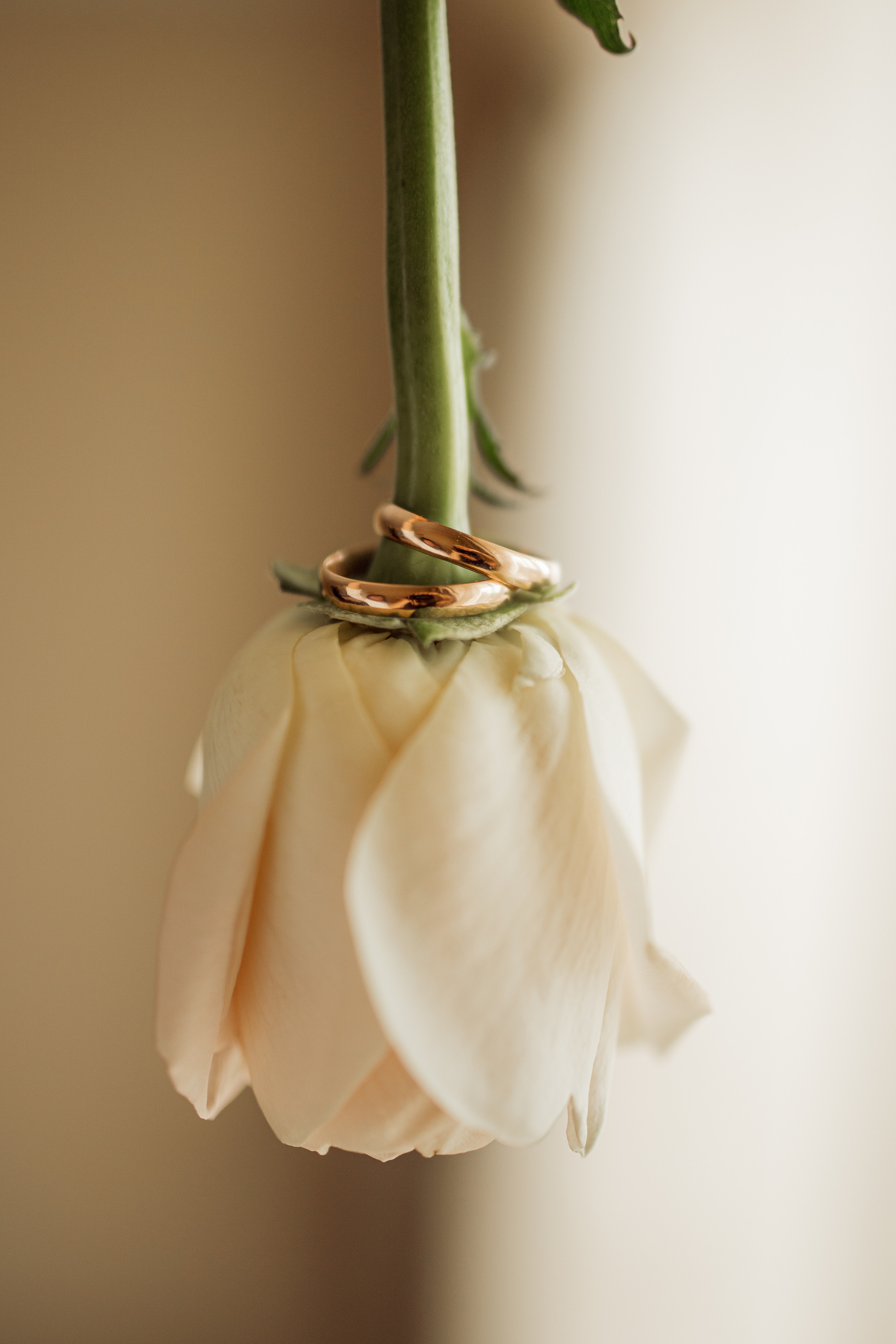 Свадьба Анастасии и Андрея 09.06.2021. Семейный и свадебный фотограф в Донецке Елена Гордеева