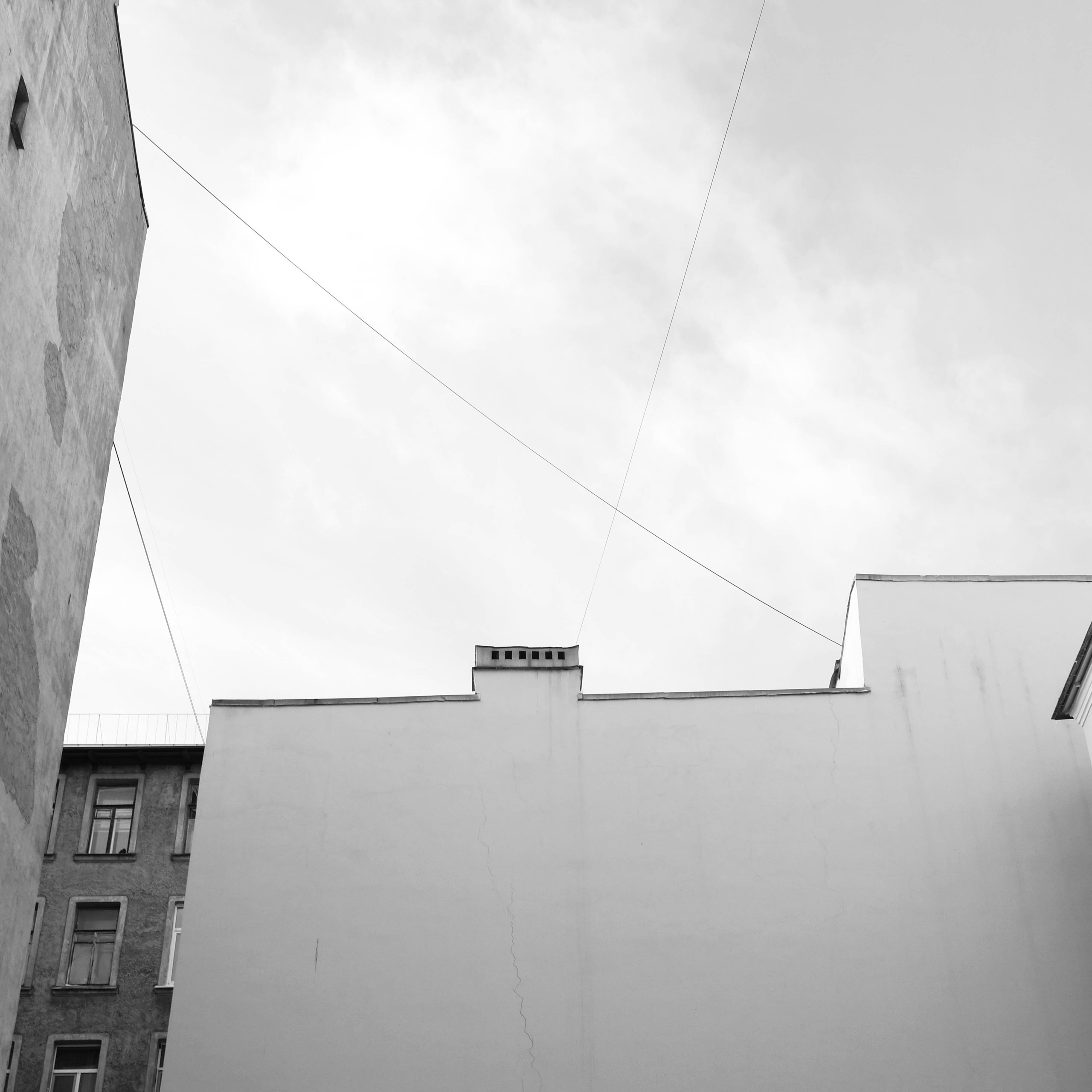 03 14. Shyjungle's Portfolio