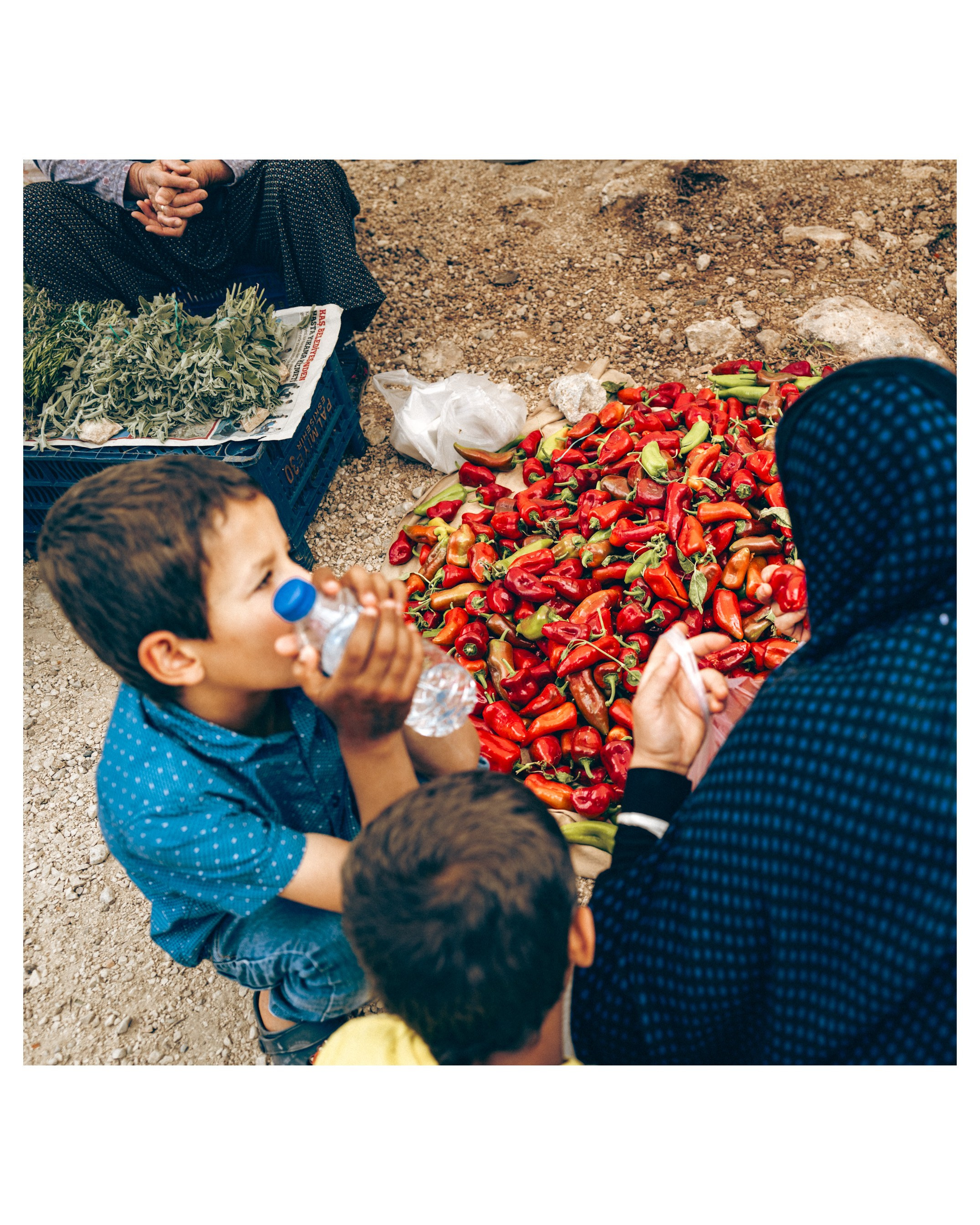 Street. Если ты на Земле — звони