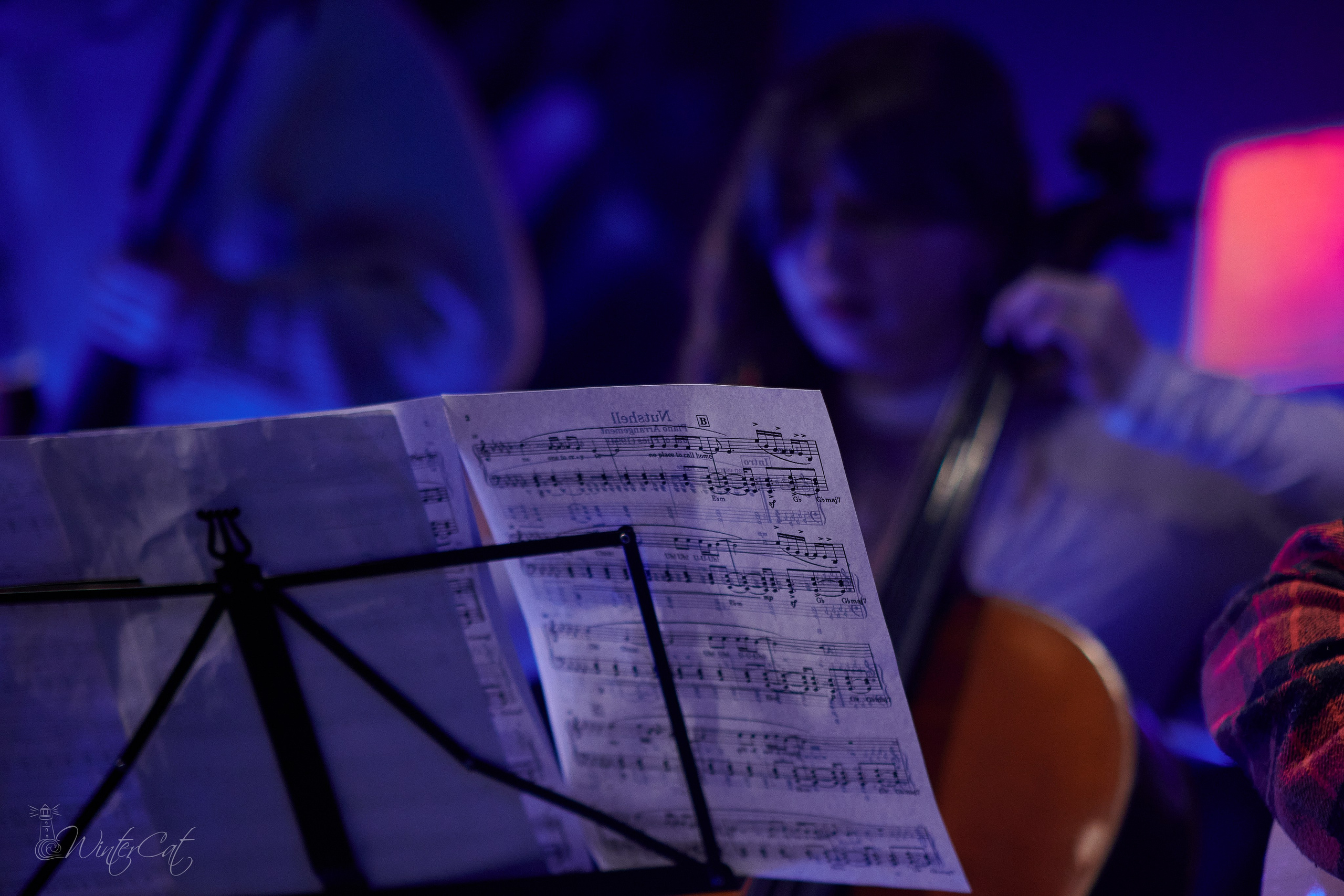 Фестиваль Крик (музей). Портретный и репортажный фотограф в Магадане Андрей Нефедов WinterCatPhoto