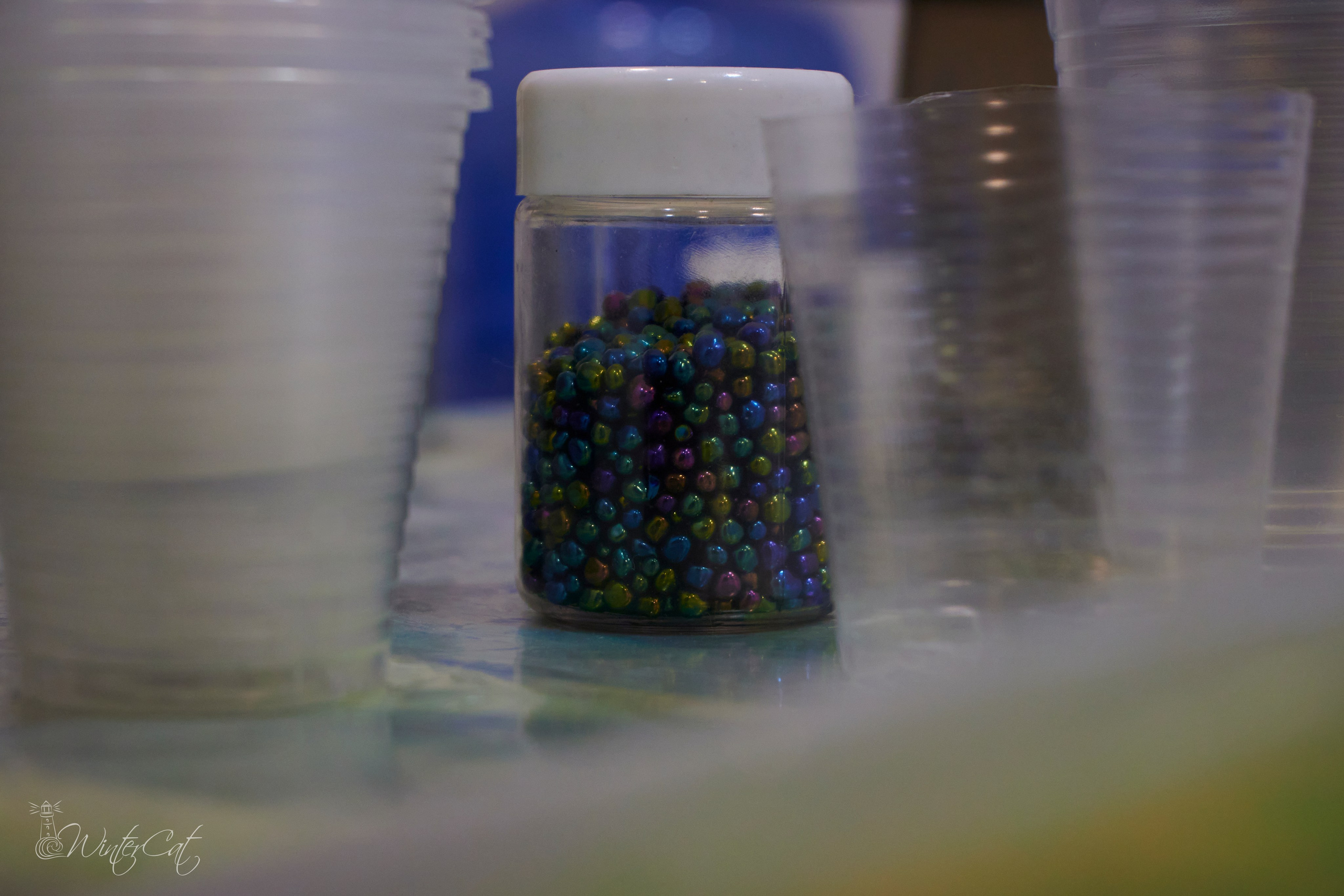 Мастер Класс Смола Ирины Чегуровой 20.10.24. Портретный и репортажный фотограф в Магадане Андрей Нефедов WinterCatPhoto