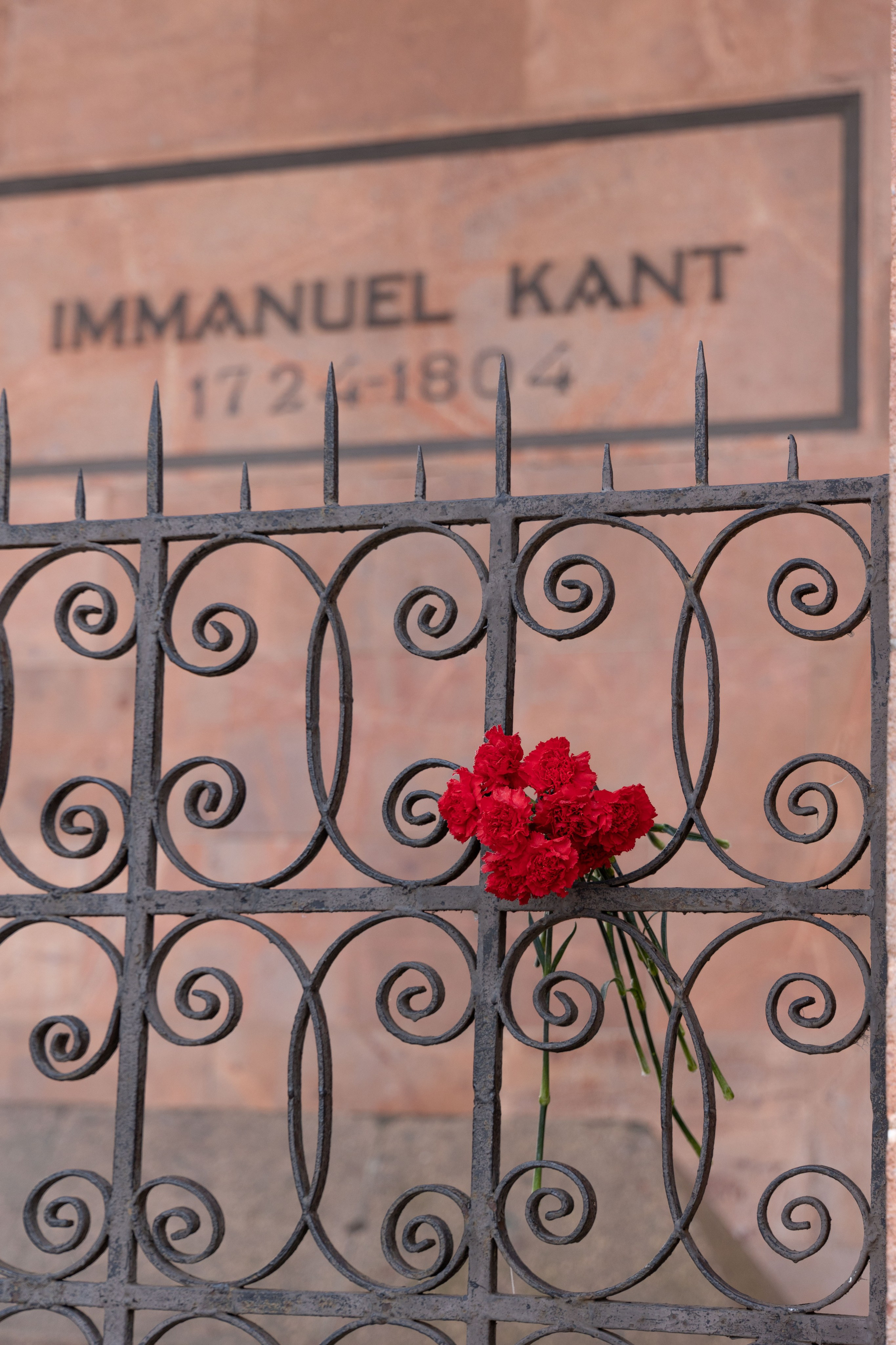 Любимое. Фотограф в Санкт-Петербурге Анна Сосновская