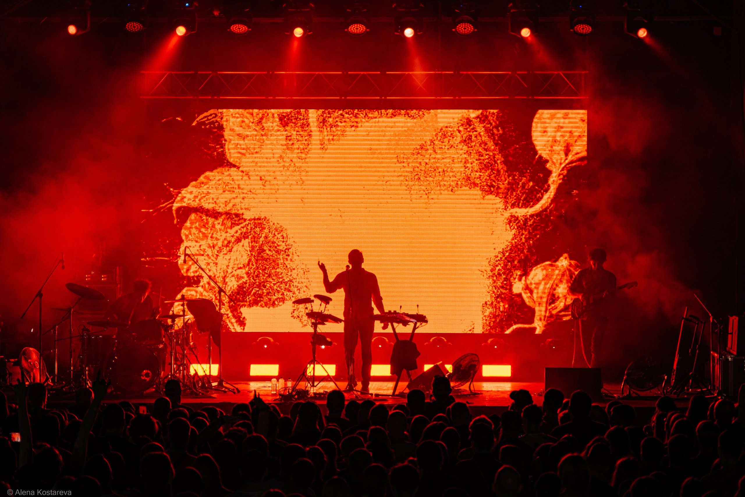 Dolphin. Алена Костарева. Фотограф в Ростове-на-Дону