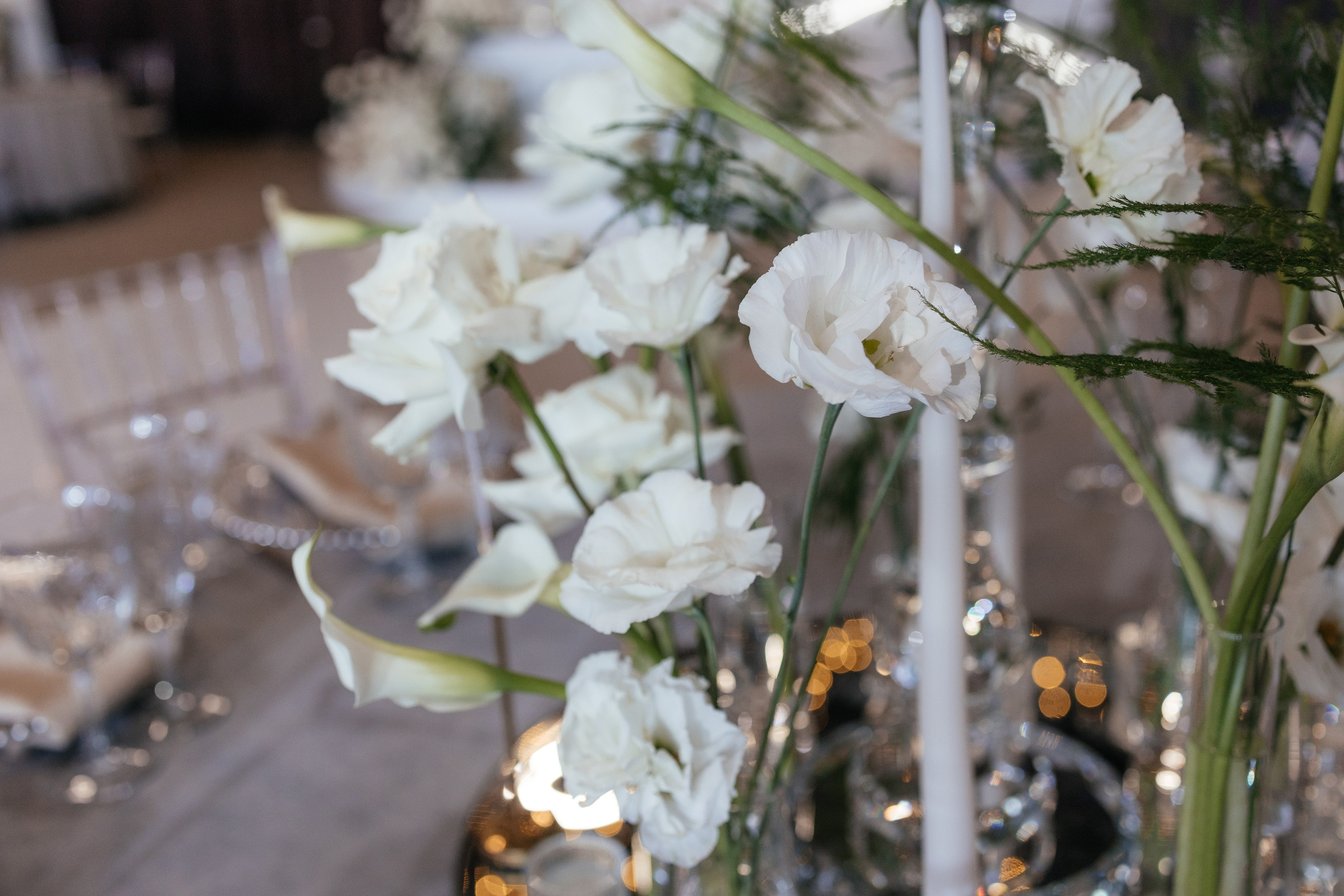 Вова и Вера. Фотограф Крохин Олег