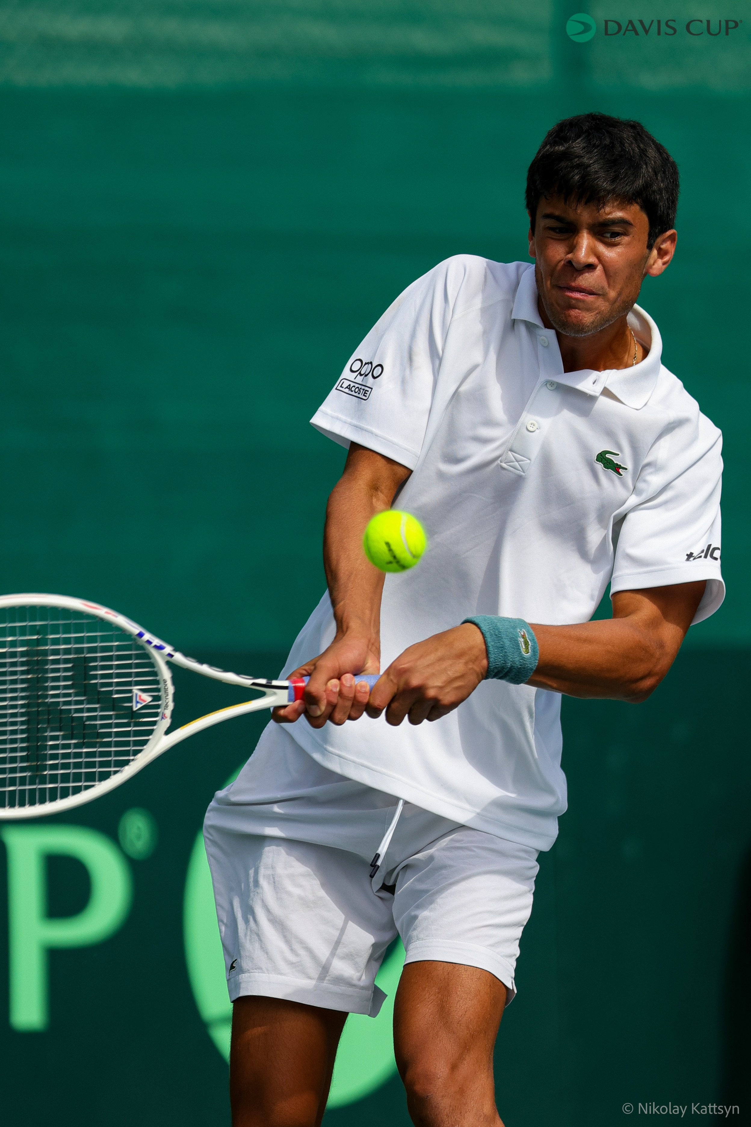 Теннис_ кубок Дэвиса 2024. Фотограф в Москве портреты | репортажи | спорт