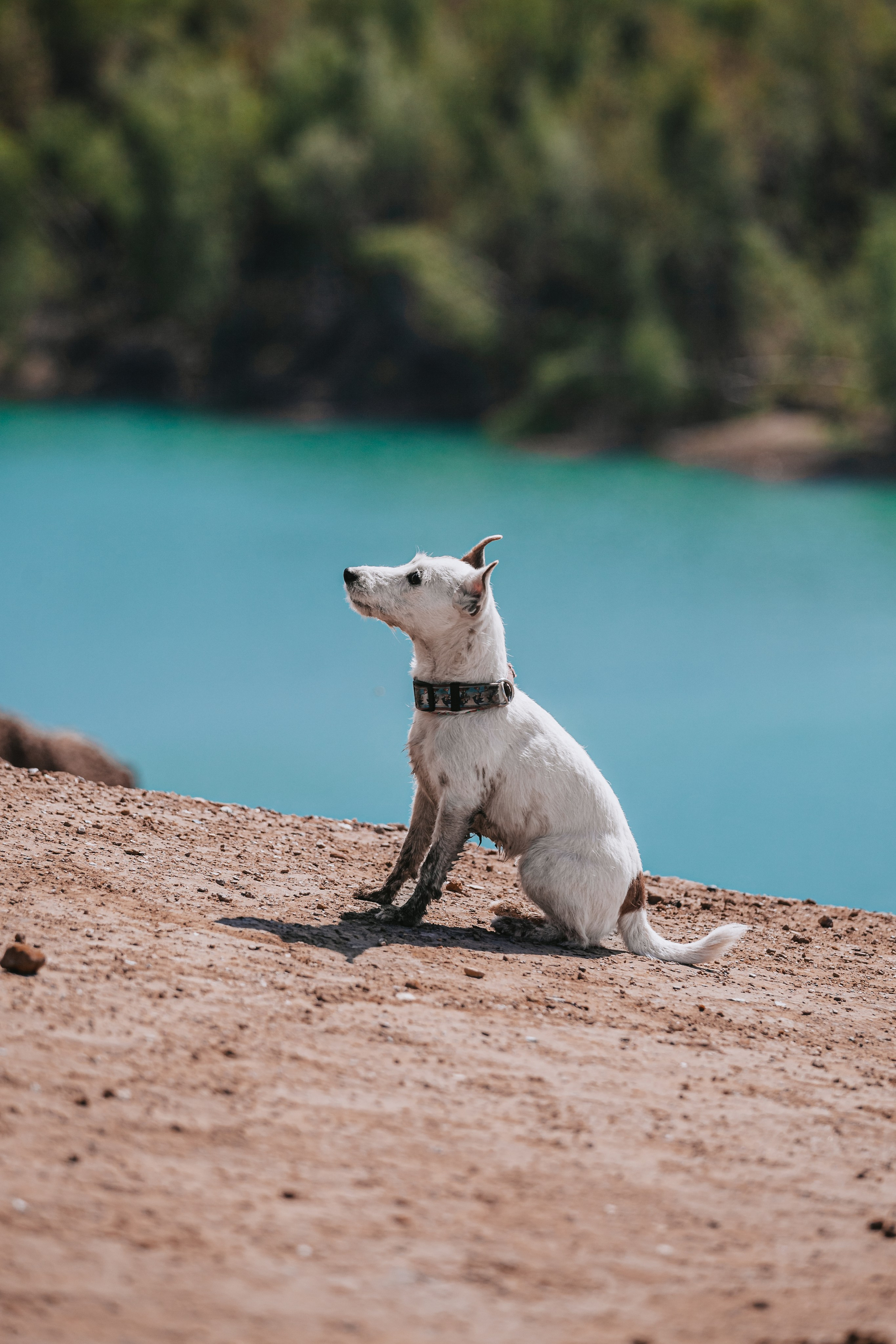 Кондуки. Фотограф-анималист Татьяна Степанова