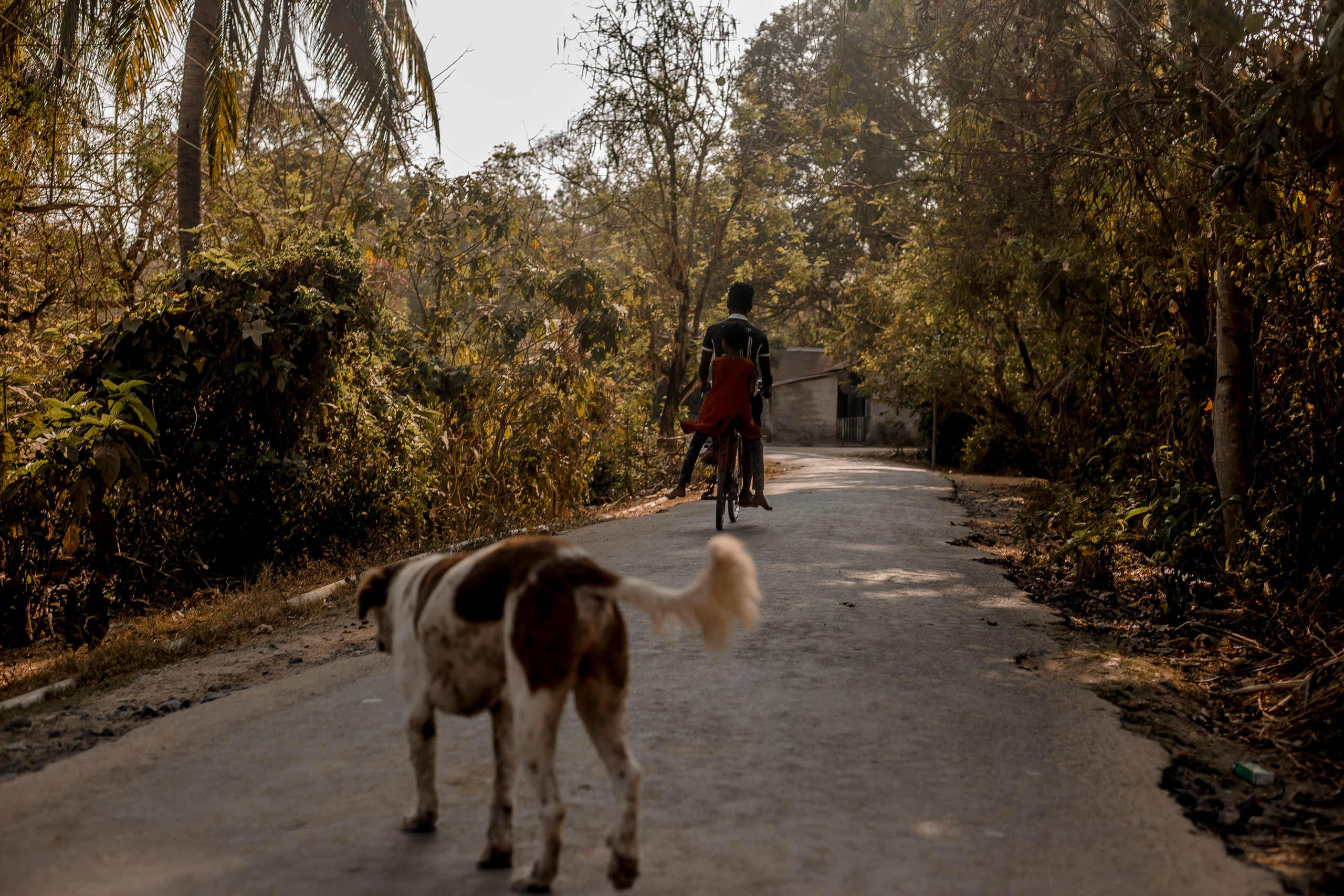 Andaman Islands, Part2. Art Photographer