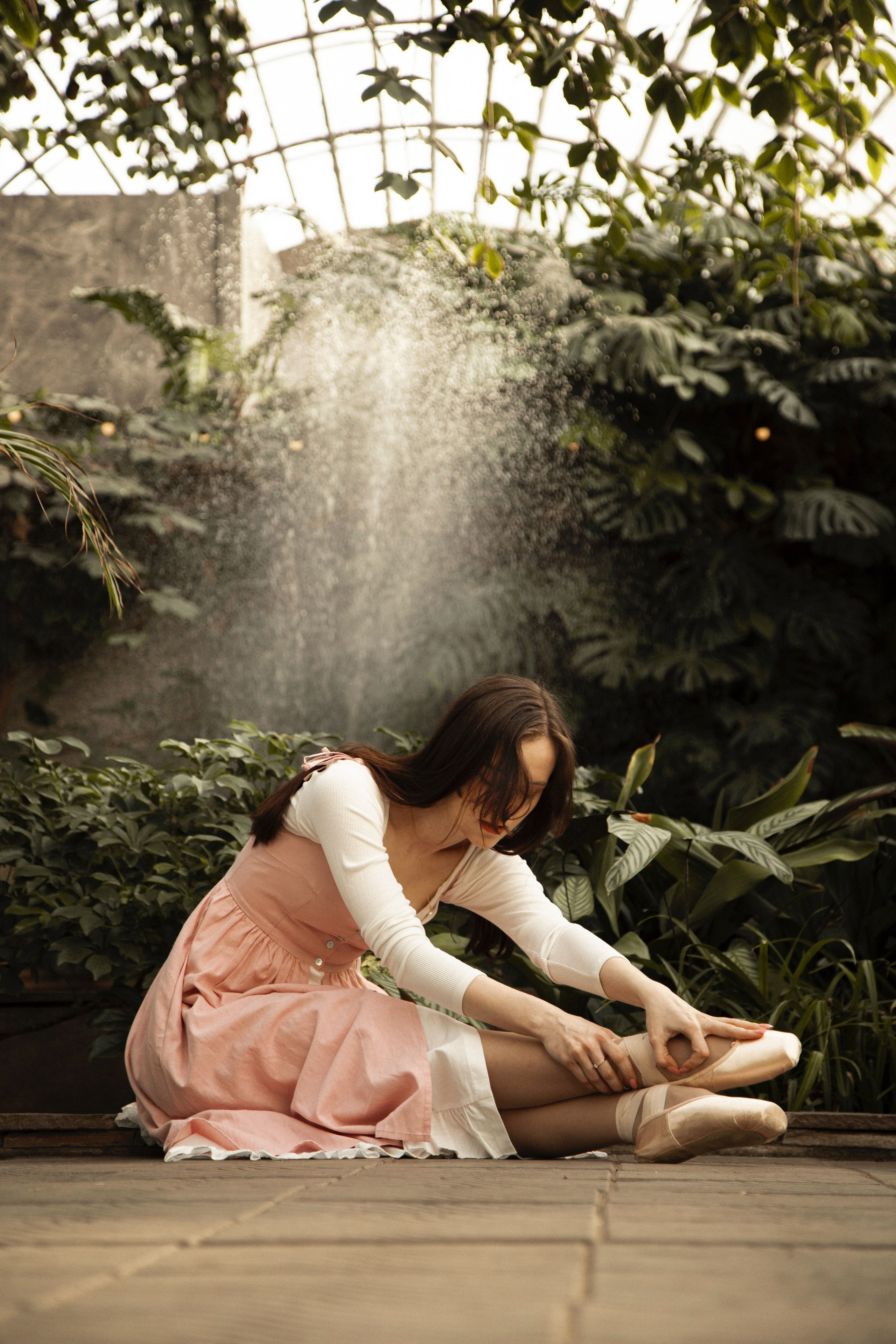 Оранжерея Таврического сада