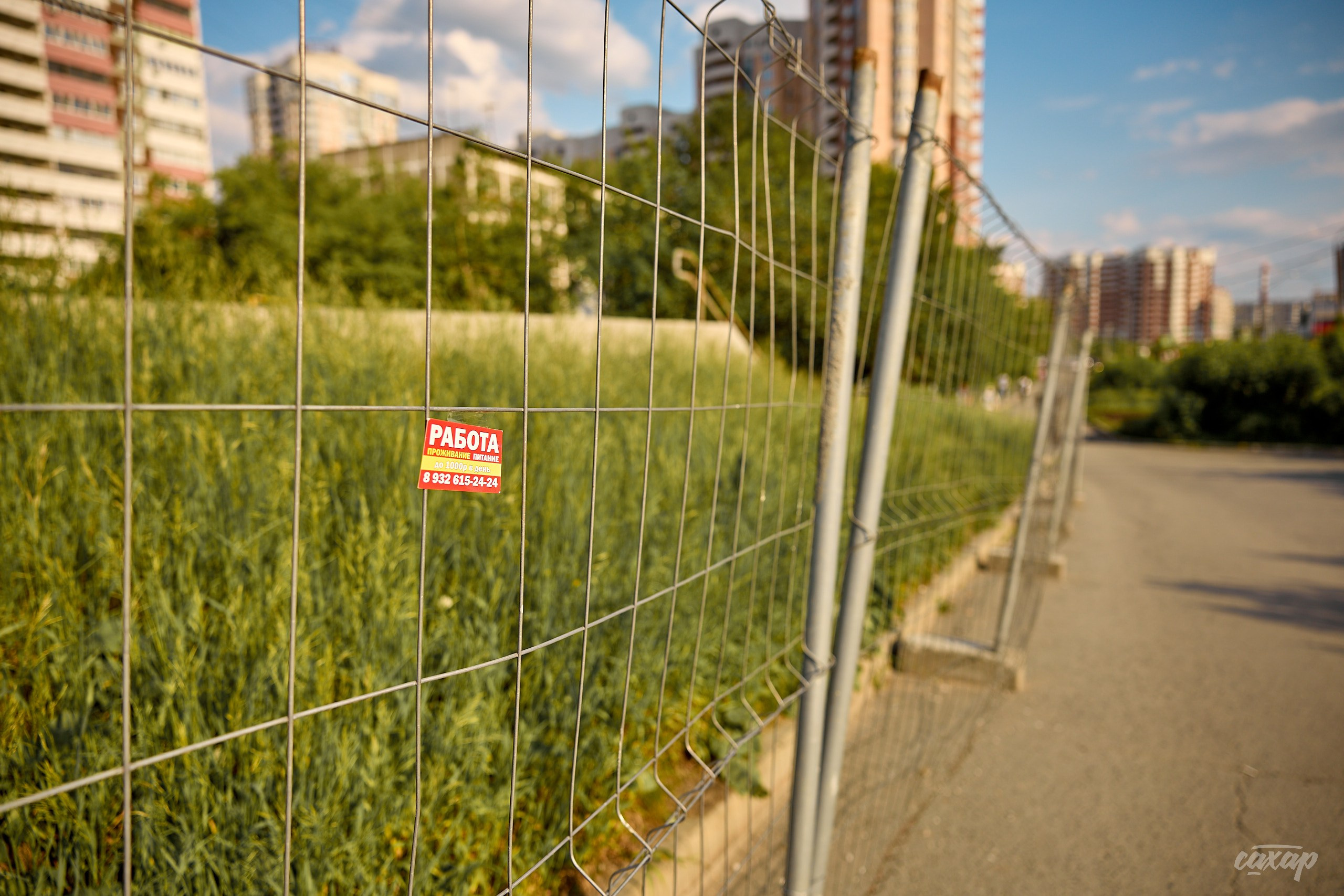 Что вижу, то и пою! от 2024_06_11. Профессиональный фотограф в Екатеринбурге Юра Сахар