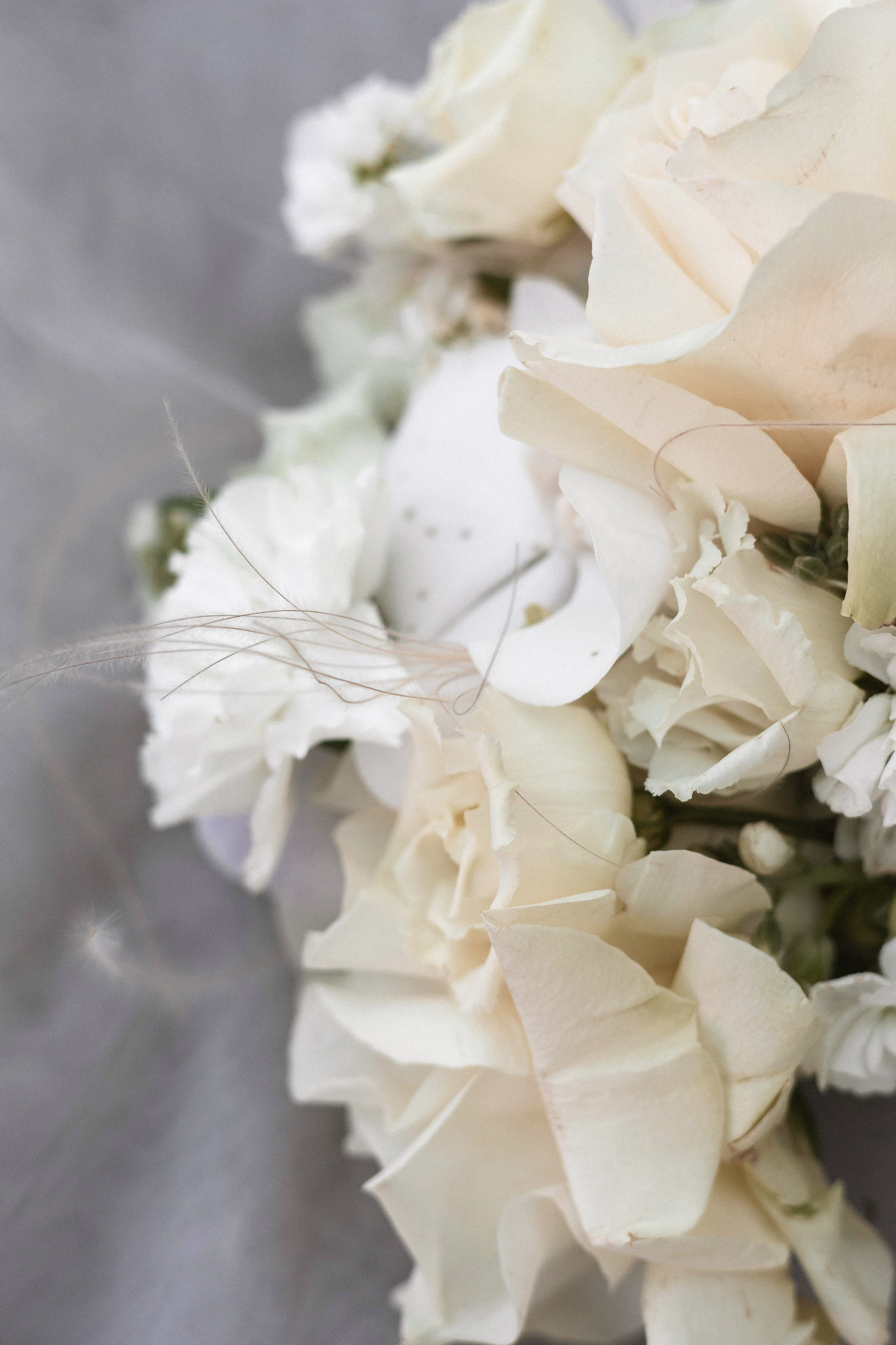 Екатерина & Алексей. Свадебный и портретный фотограф Соломко Диана