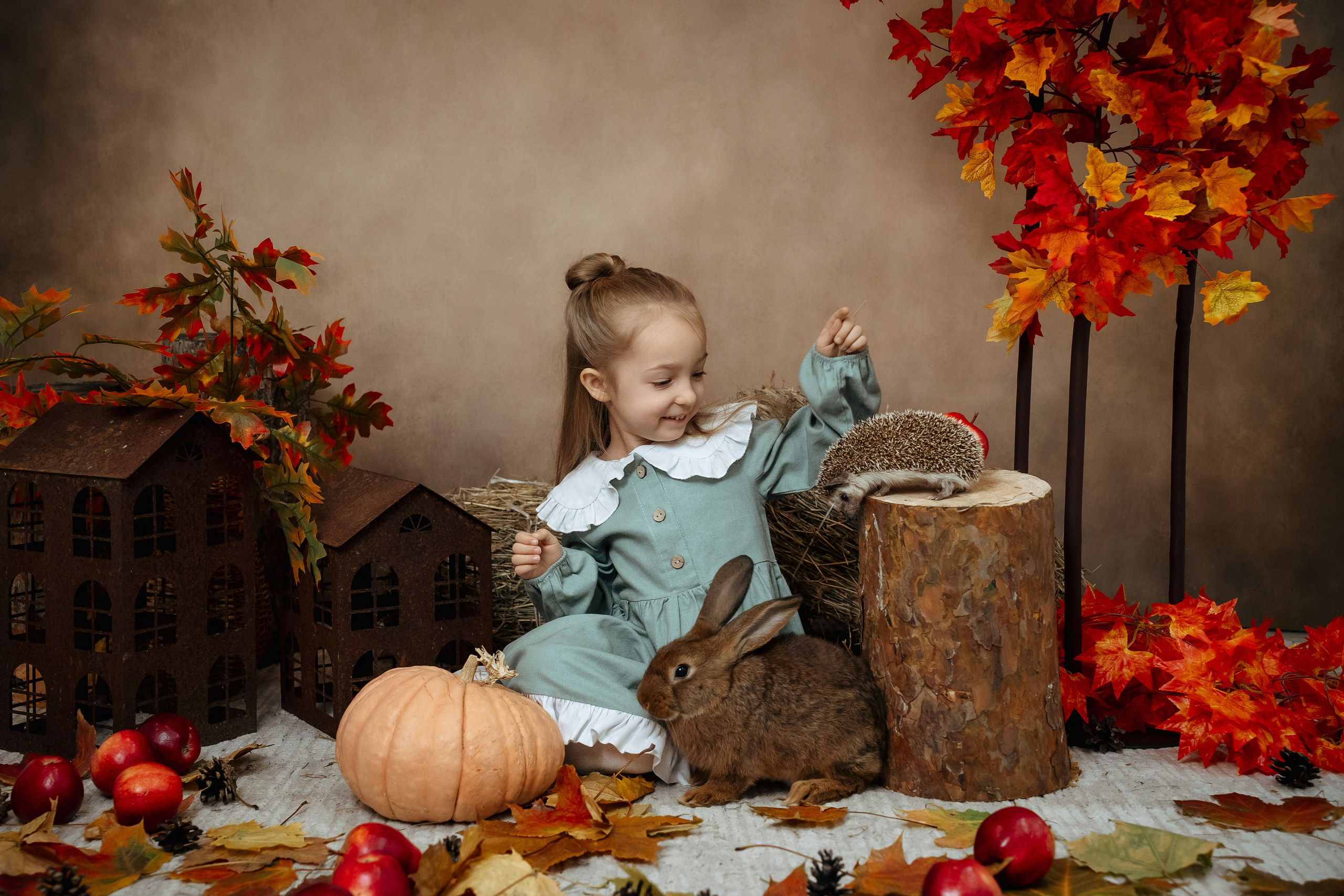 Ёжик. Фотограф Казакова Анастасия