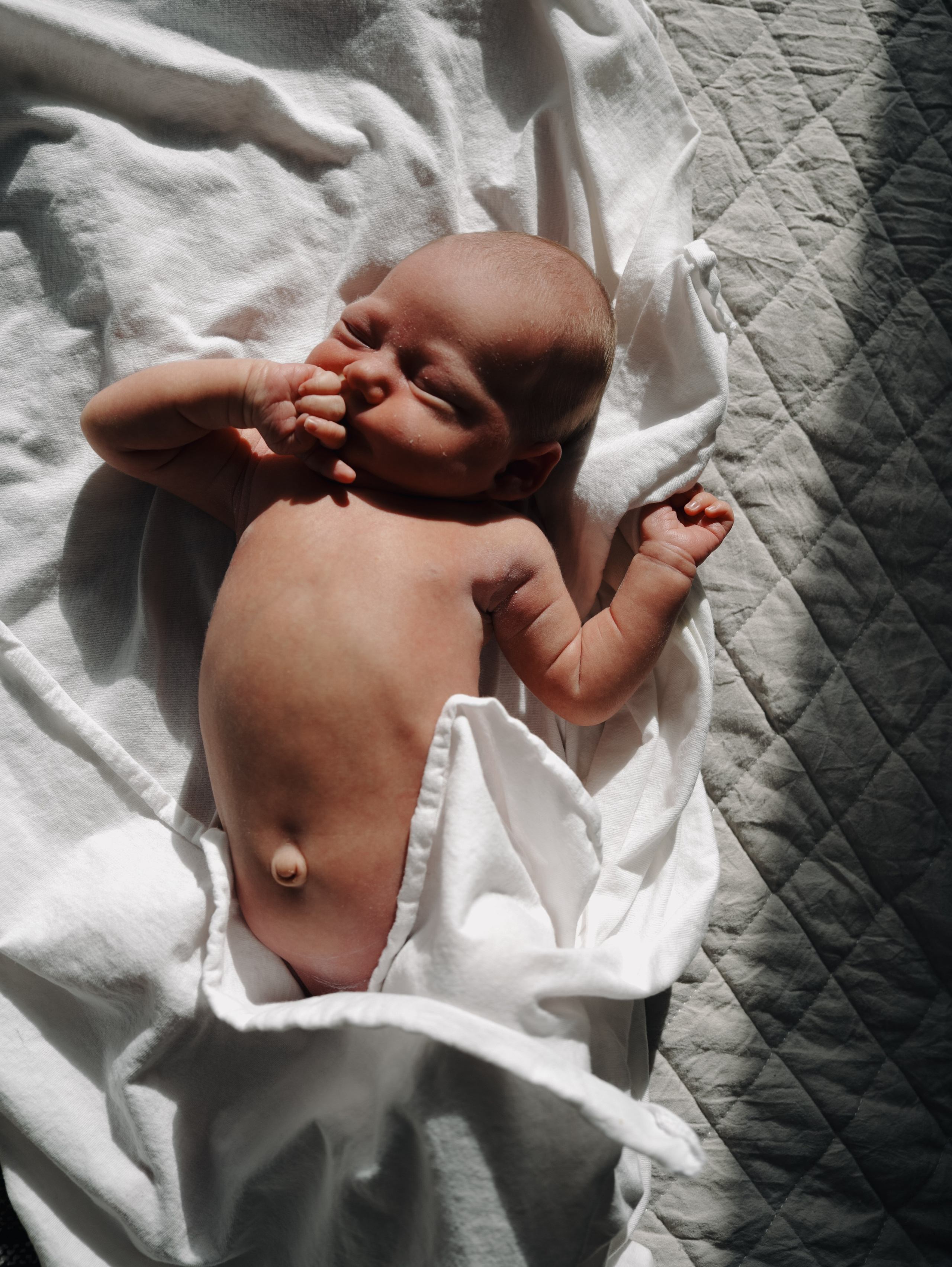 Пополнение. Алёна Стерхова — Предметный и портретный фотограф. Ижевск