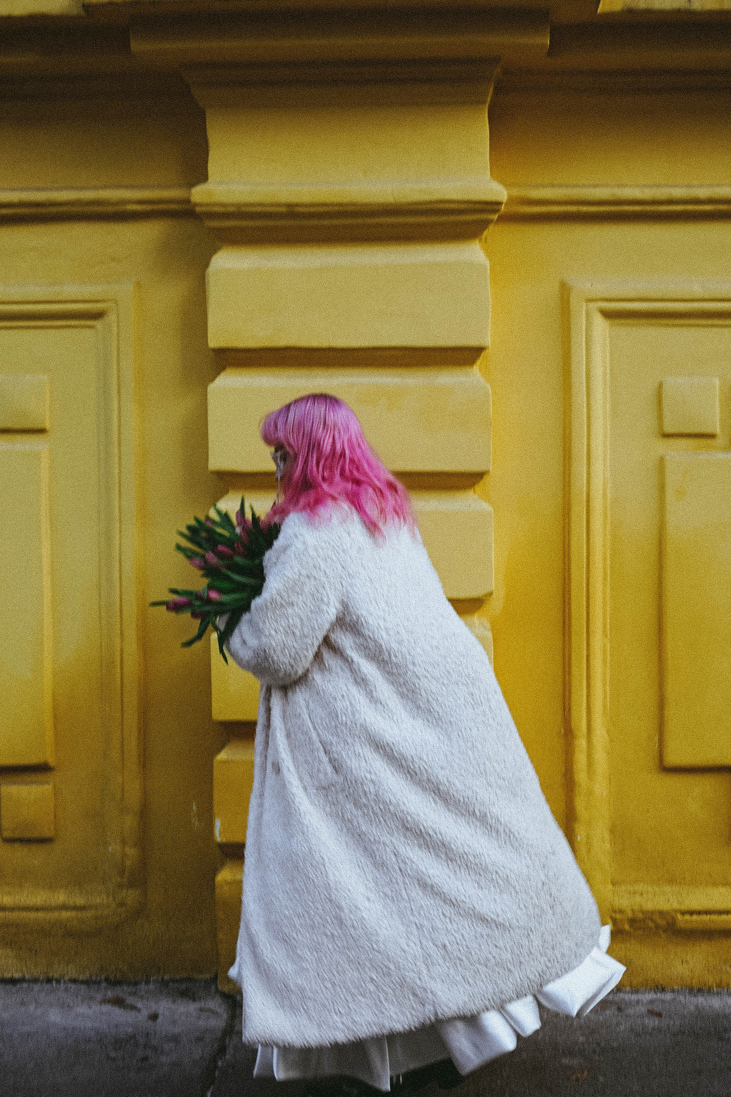 Тюльпаны. Профессиональный фотограф, Санкт-Петербург — Виктория Богомолова
