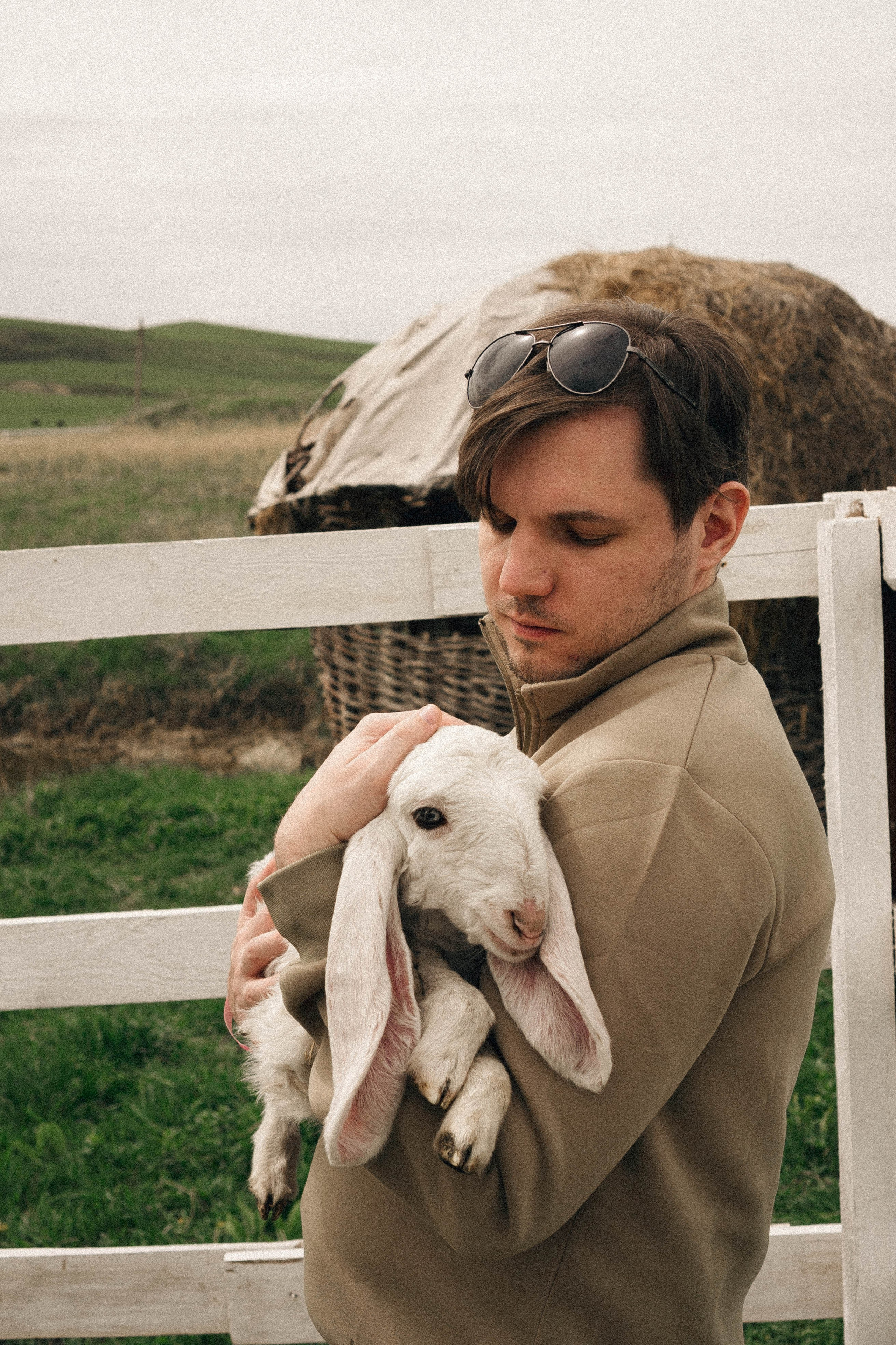 Ферма Альпак. Профессиональный фотограф, Санкт-Петербург — Виктория Богомолова