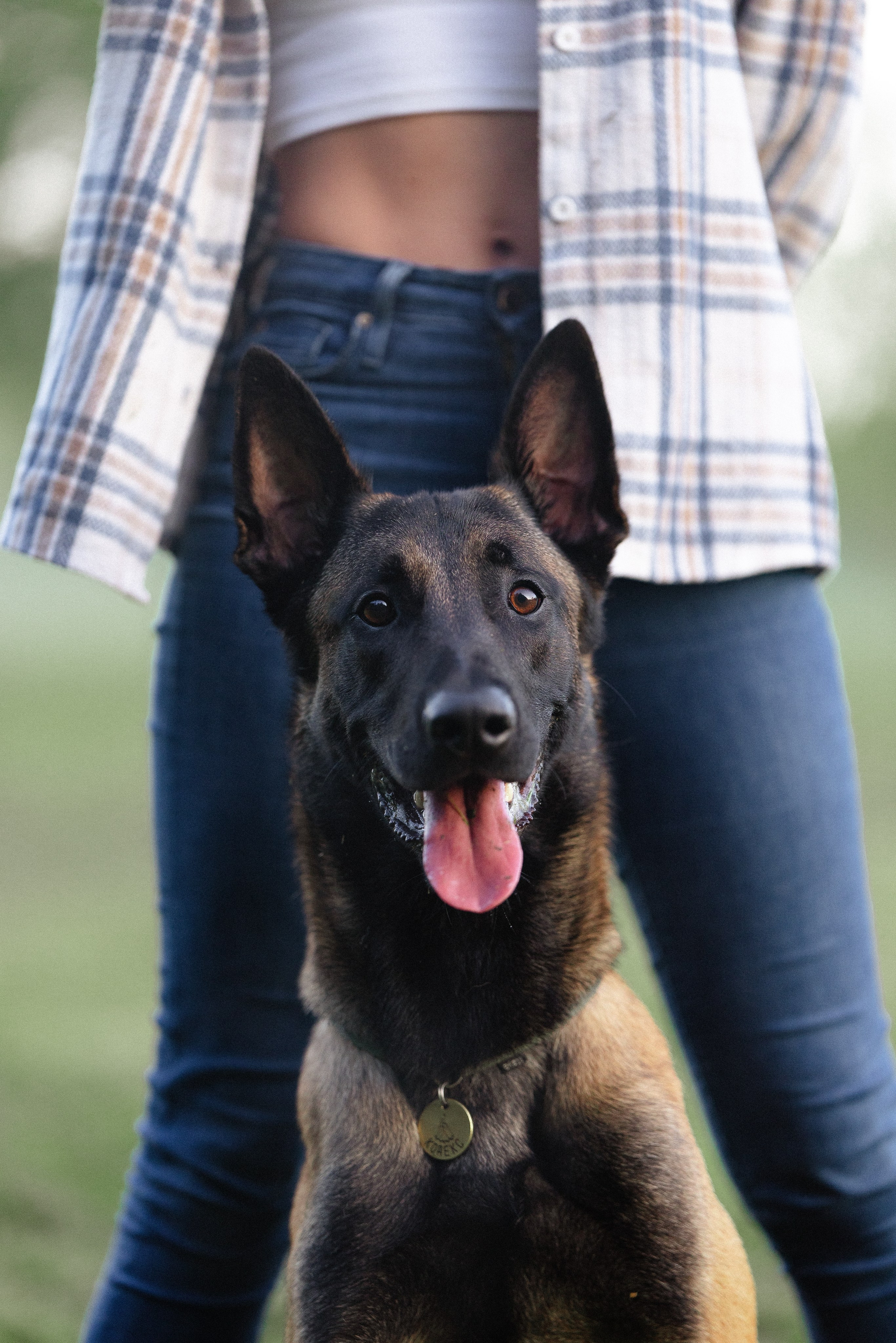 Галина и Кодекс. Фотограф и видеограф анималист Аганина Дарья