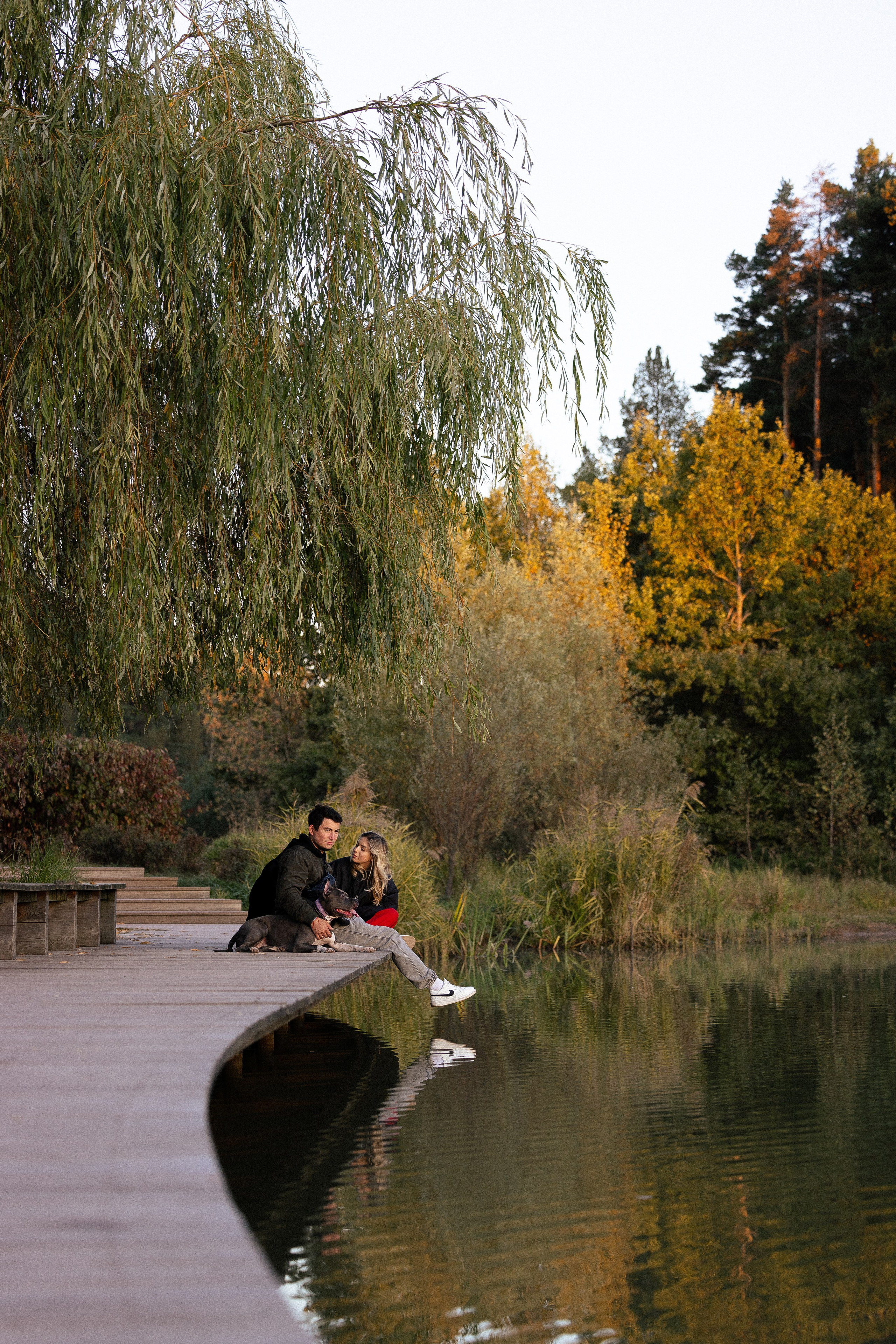 Катя, Леша, Лея и Трой. Фотограф и видеограф анималист Аганина Дарья