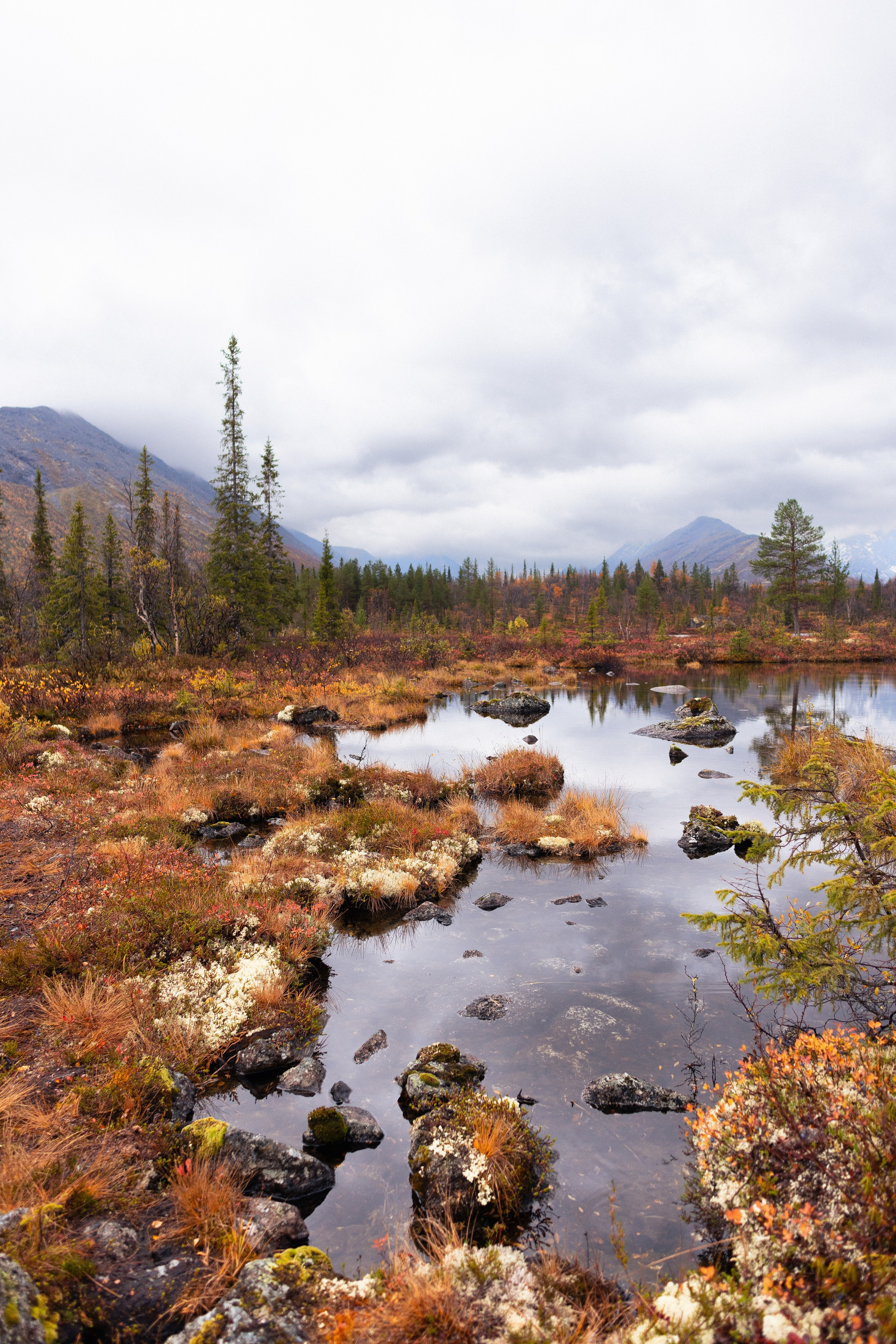 Кольский. Фотограф и видеограф анималист Аганина Дарья