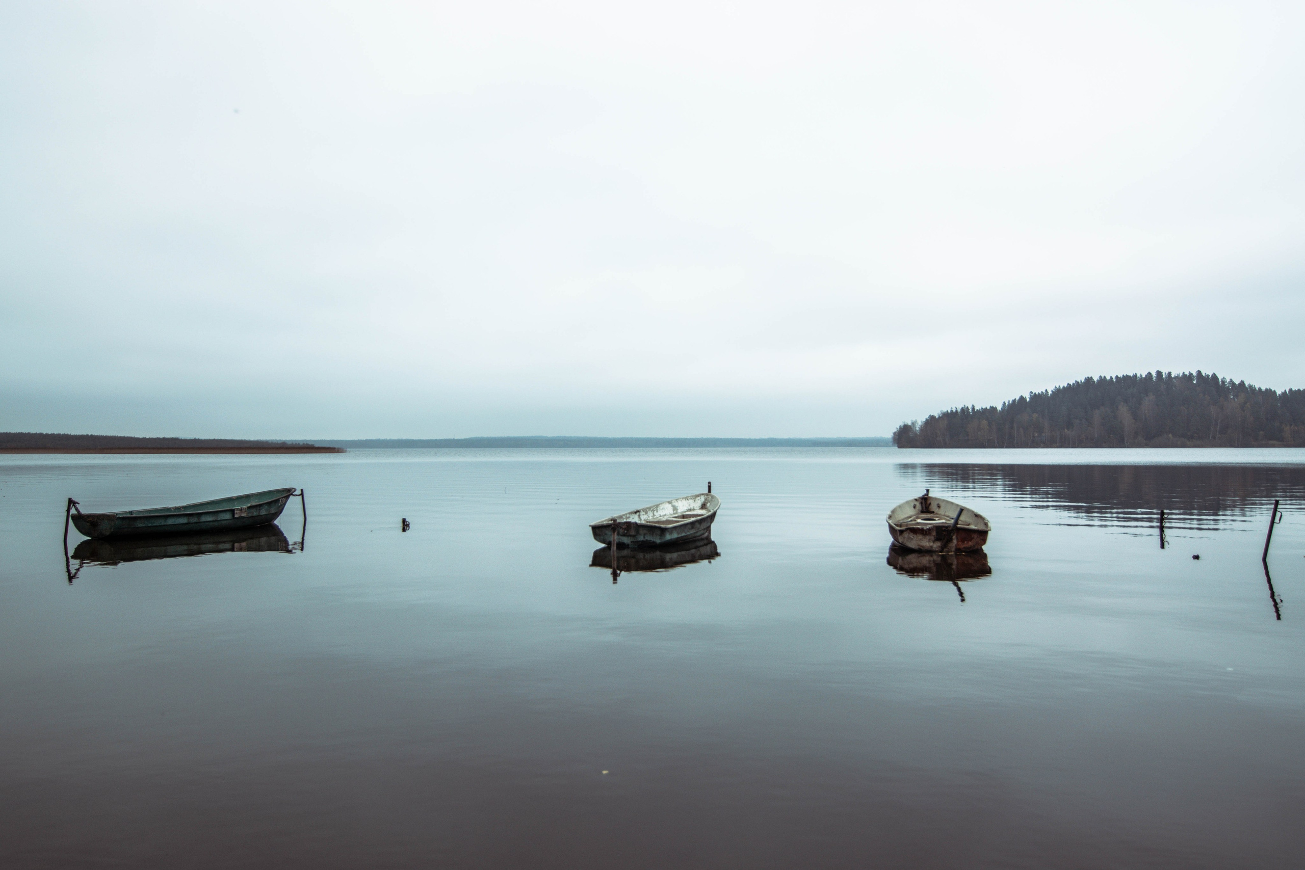 Лен Область. Мари Линёк-Стельмах Фотохудожник Санкт-Петербург/Урал
