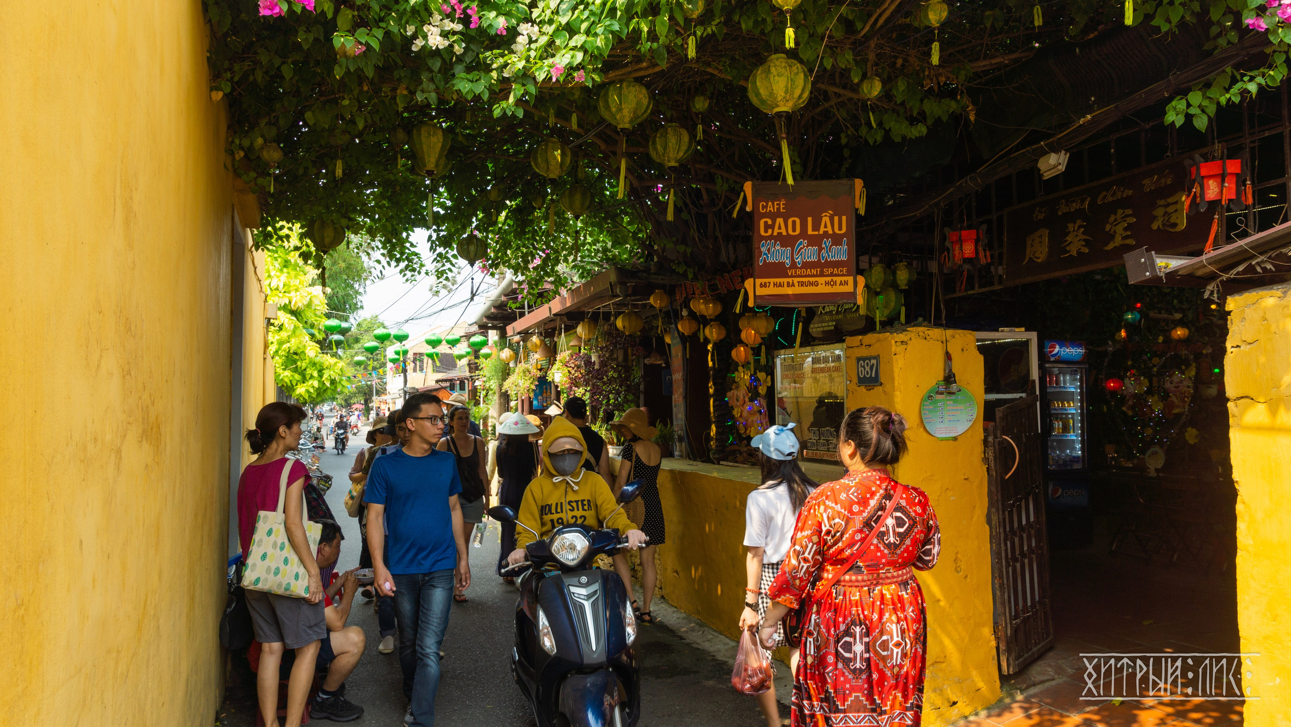 Вьетнам. Фотограф-путешественник Самойлов Максим «Sly Fox»