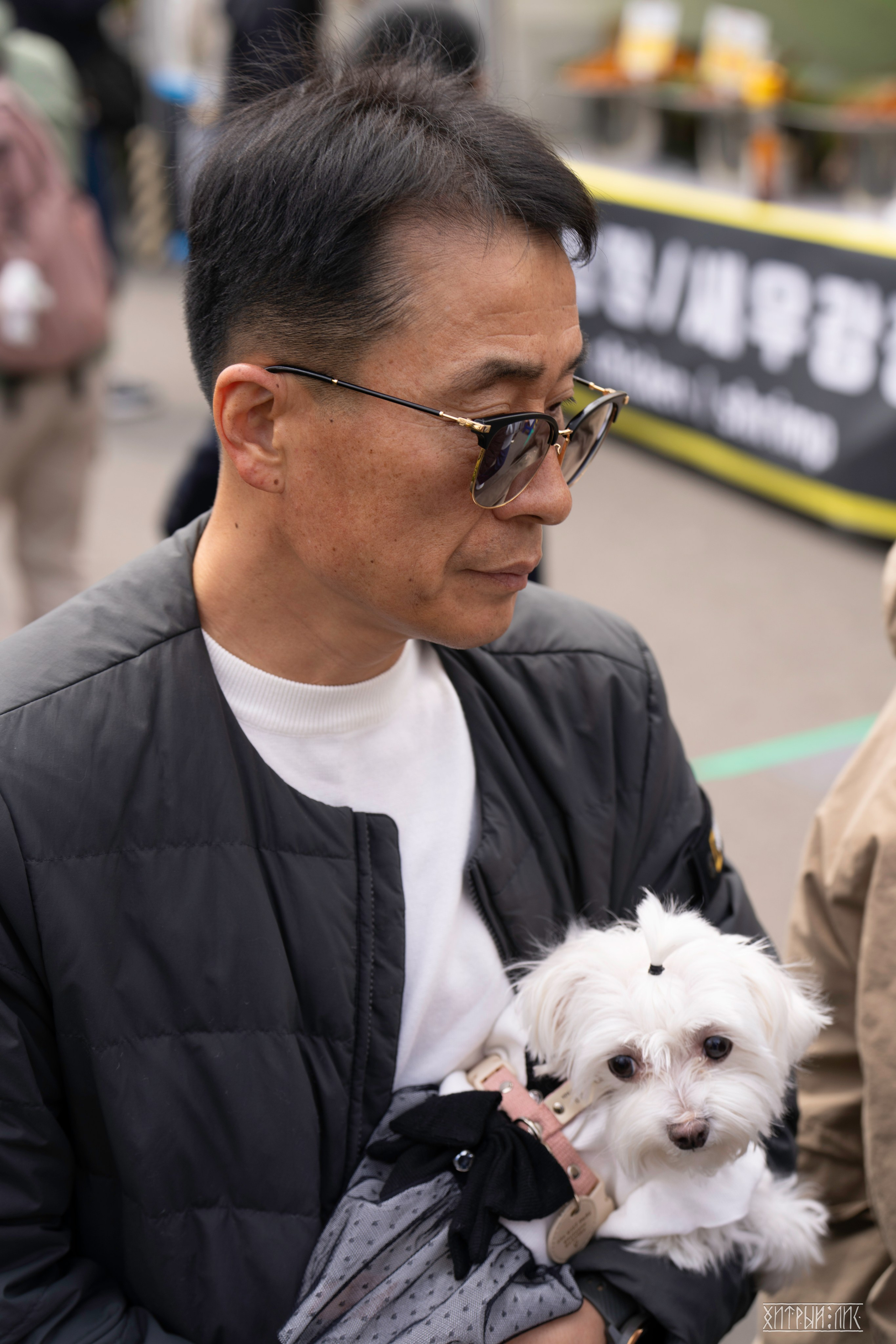 Южная Корея. Фотограф-путешественник Самойлов Максим «Sly Fox»