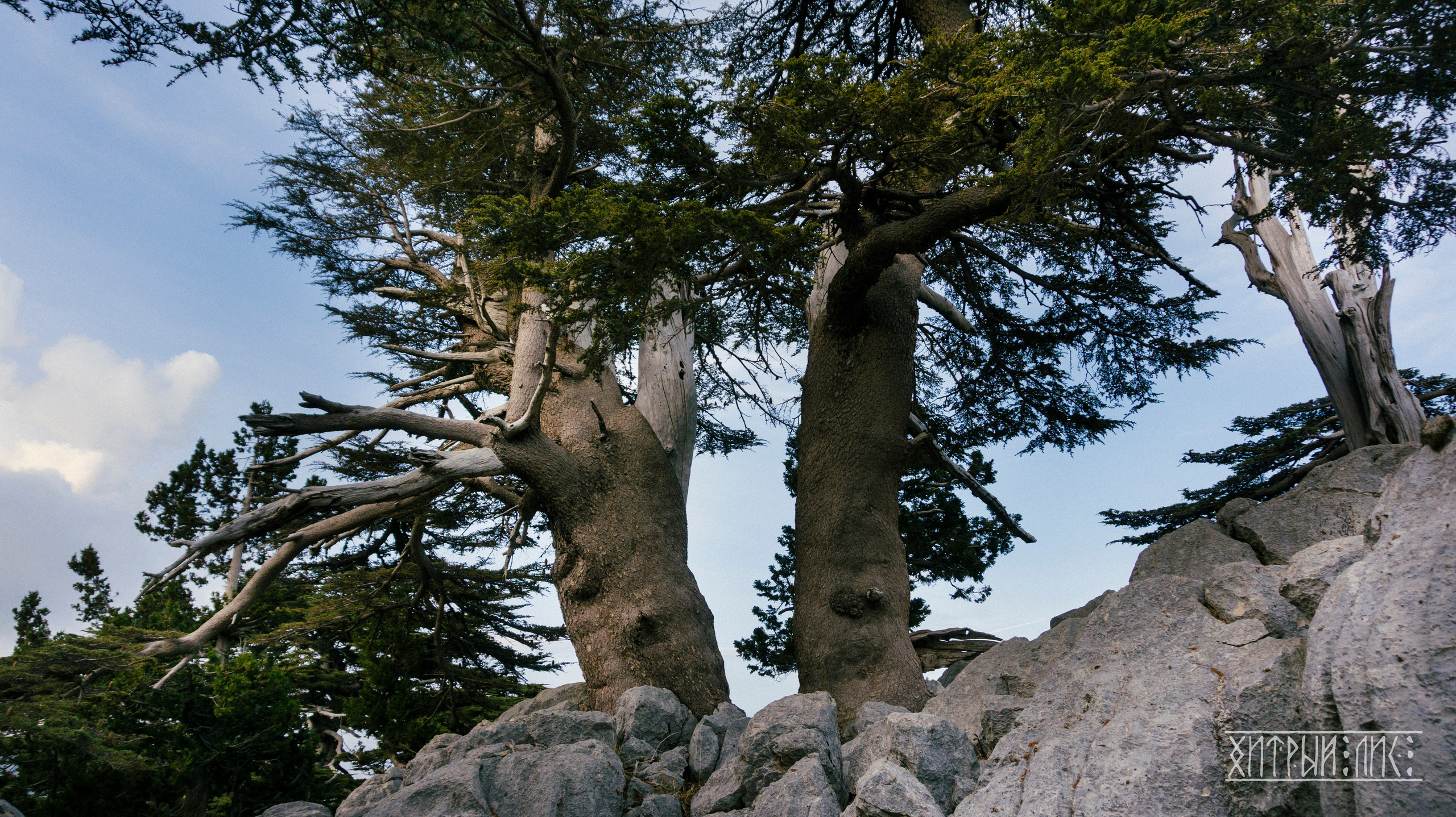 Турция. Ликийский путь. Фотограф-путешественник Самойлов Максим «Sly Fox»