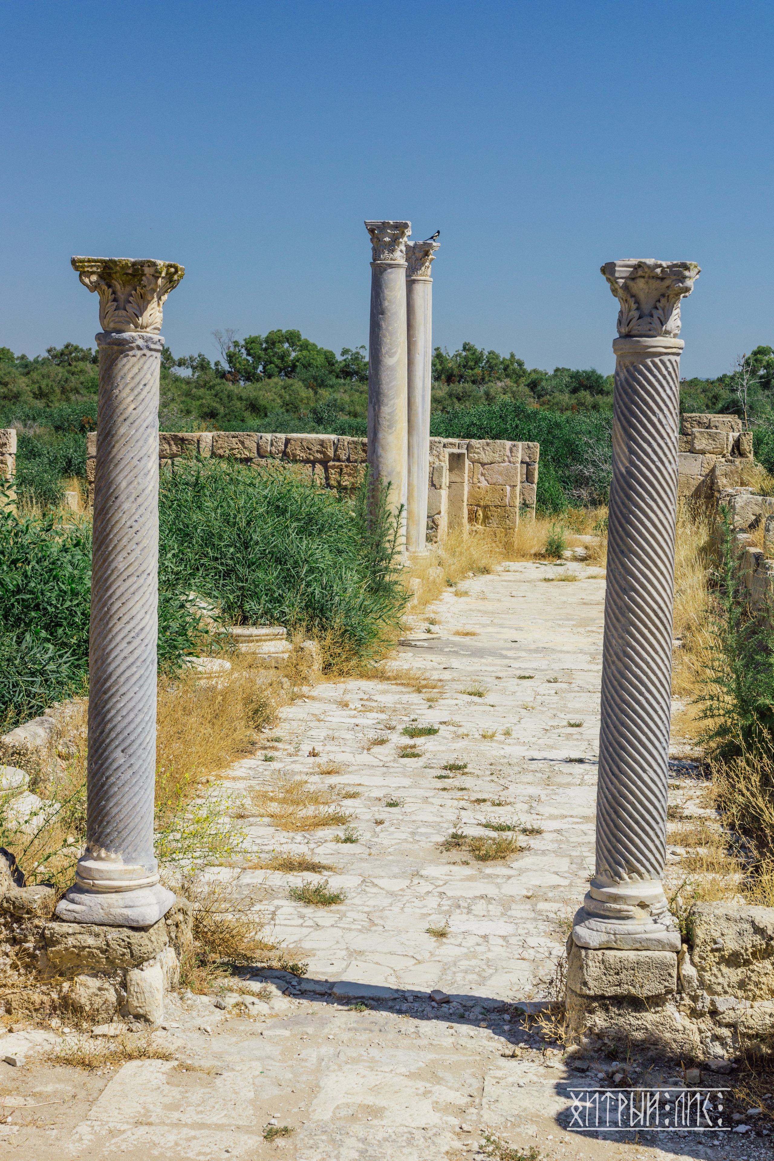 Кипр. Фотограф-путешественник Самойлов Максим «Sly Fox»