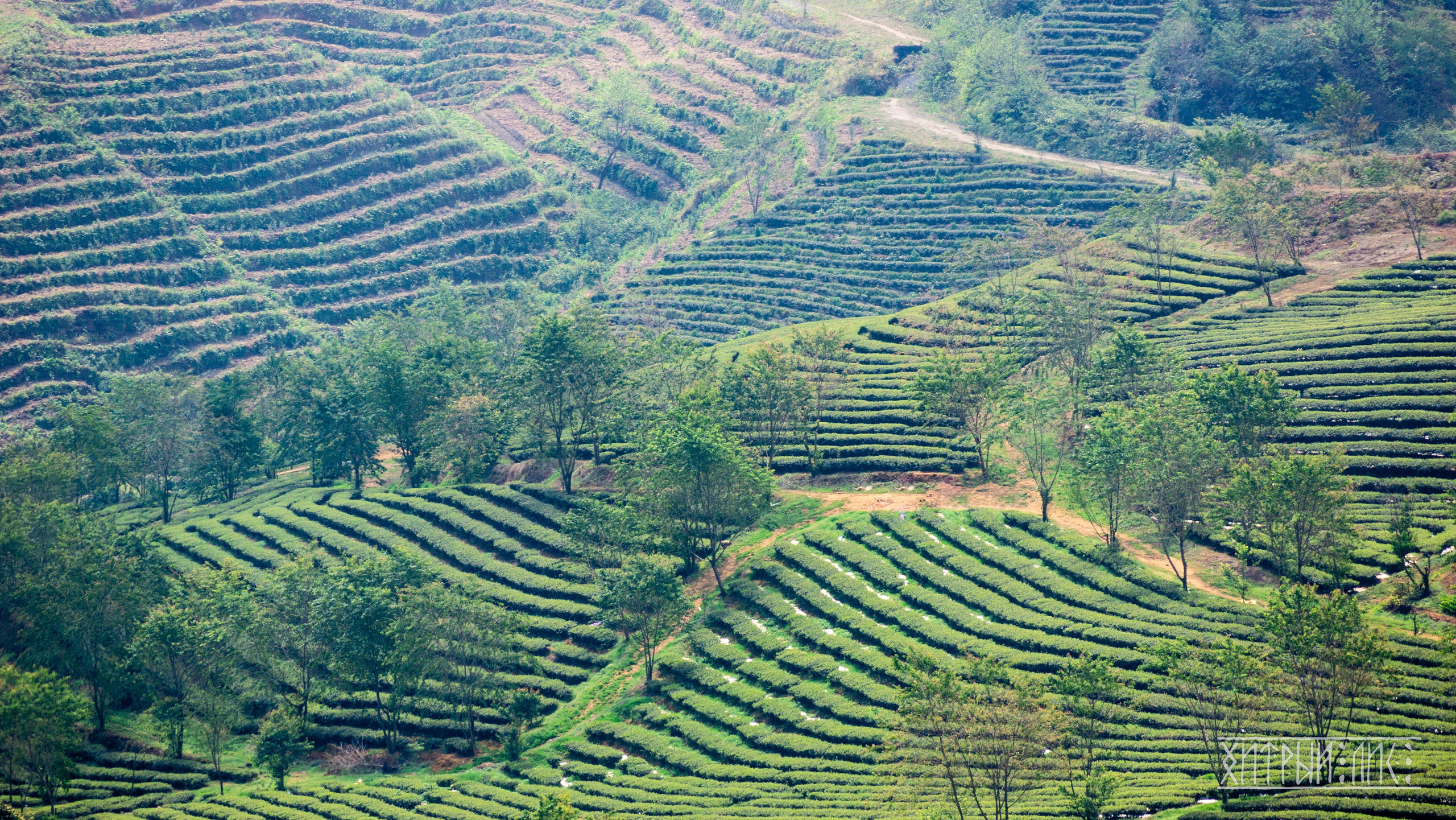 Вьетнам. Фотограф-путешественник Самойлов Максим «Sly Fox»