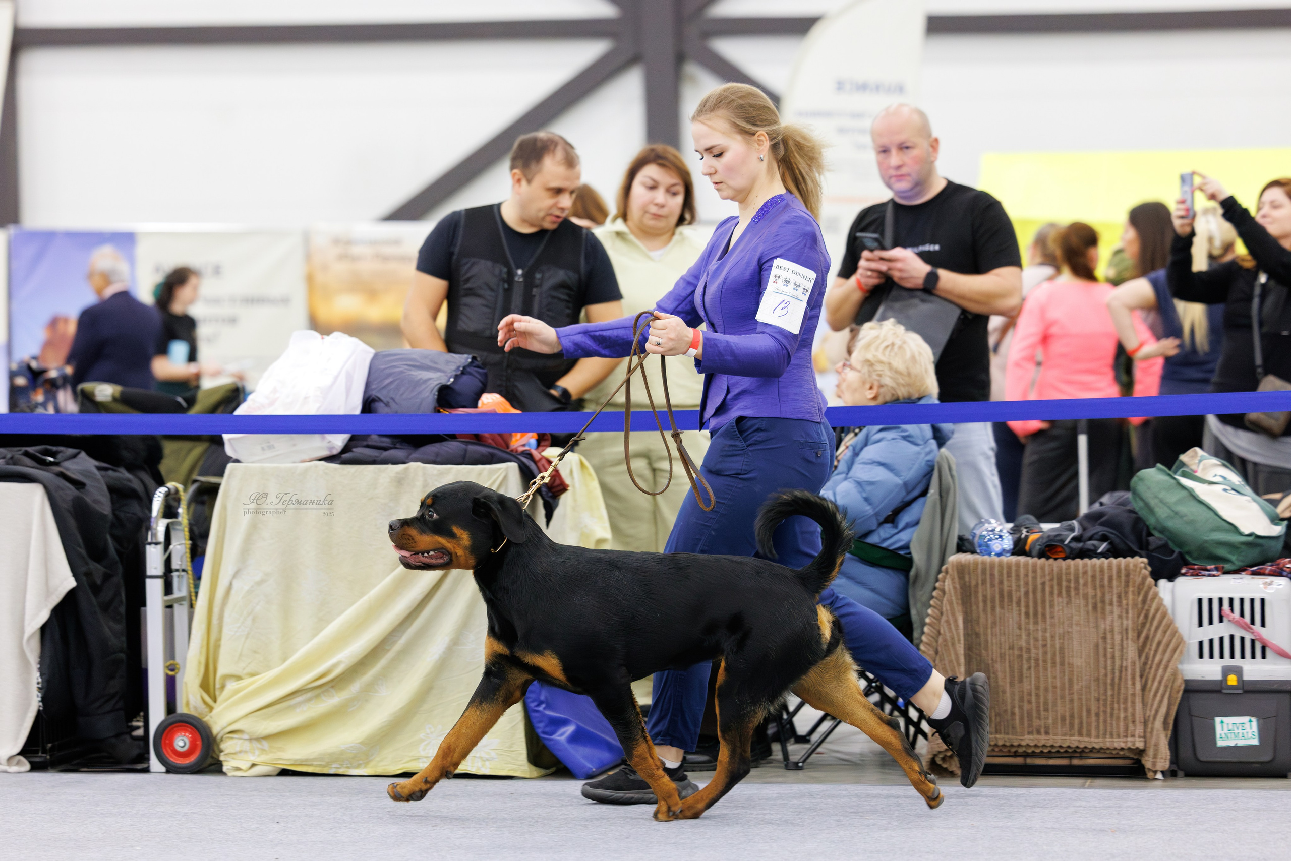 Питер 12-13.12.2025. Фотограф-анималист Юлия Германика