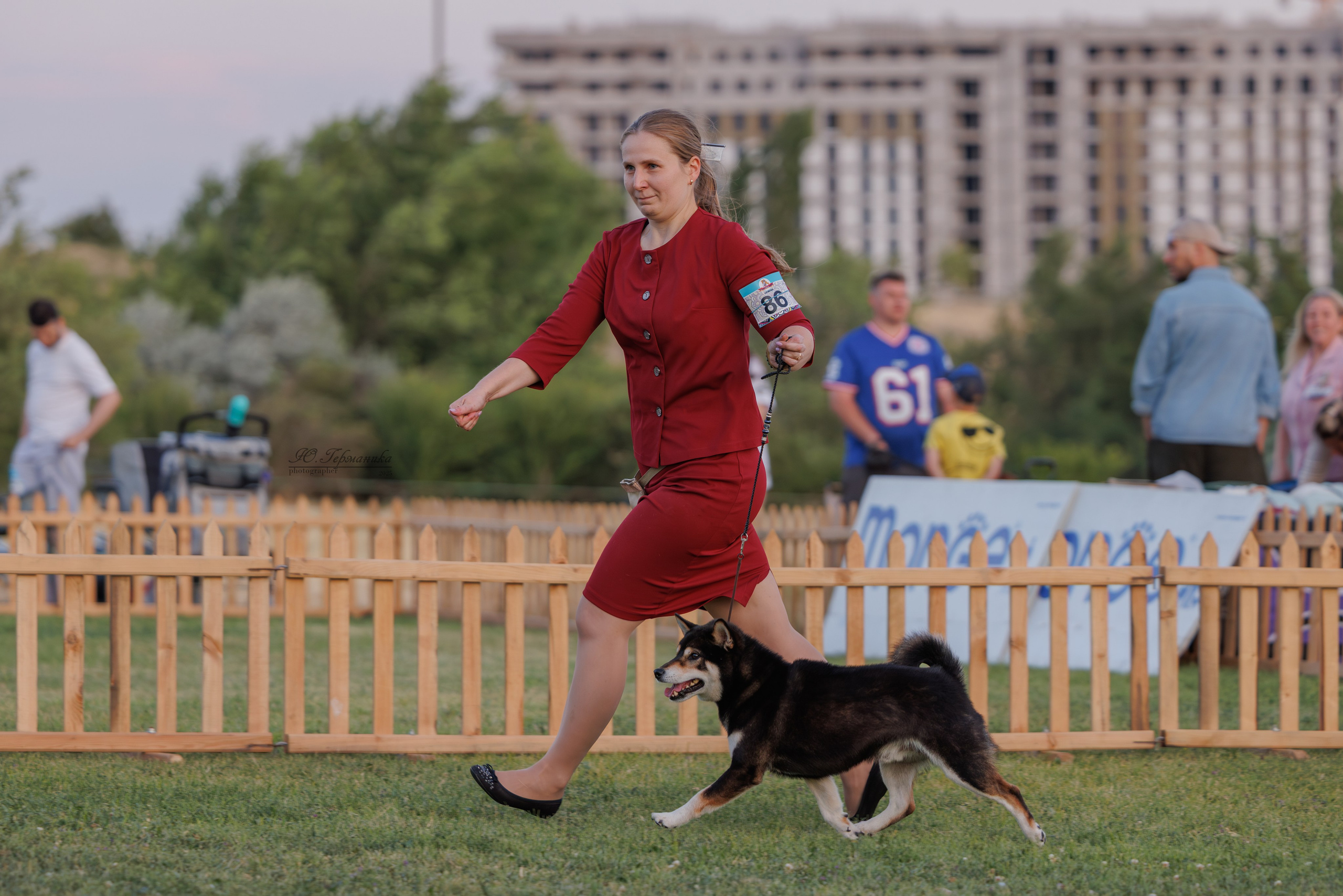 Ереван 3хCACIB 23-25.06.2025. Фотограф-анималист Юлия Германика